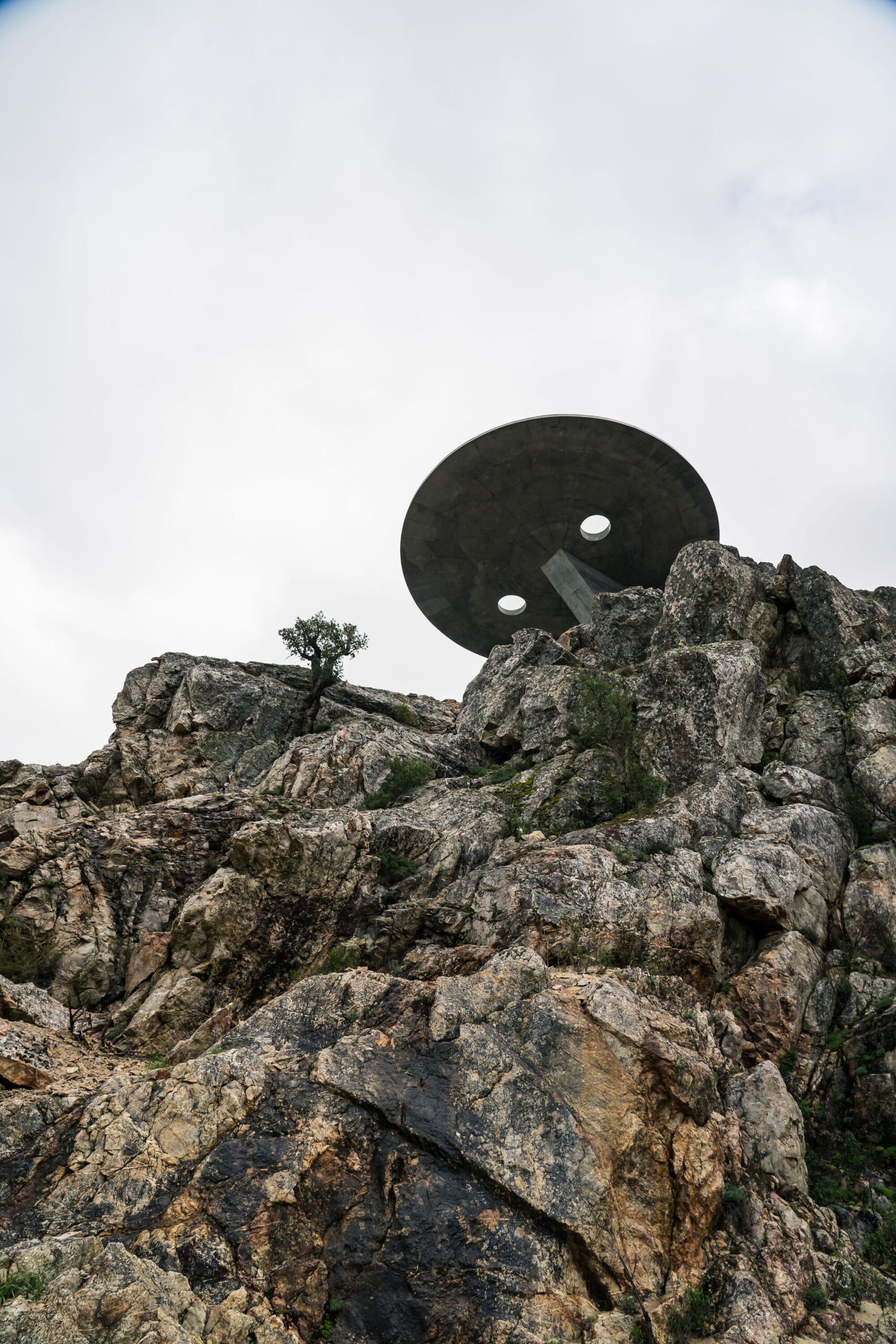 Zebro Viewpoint