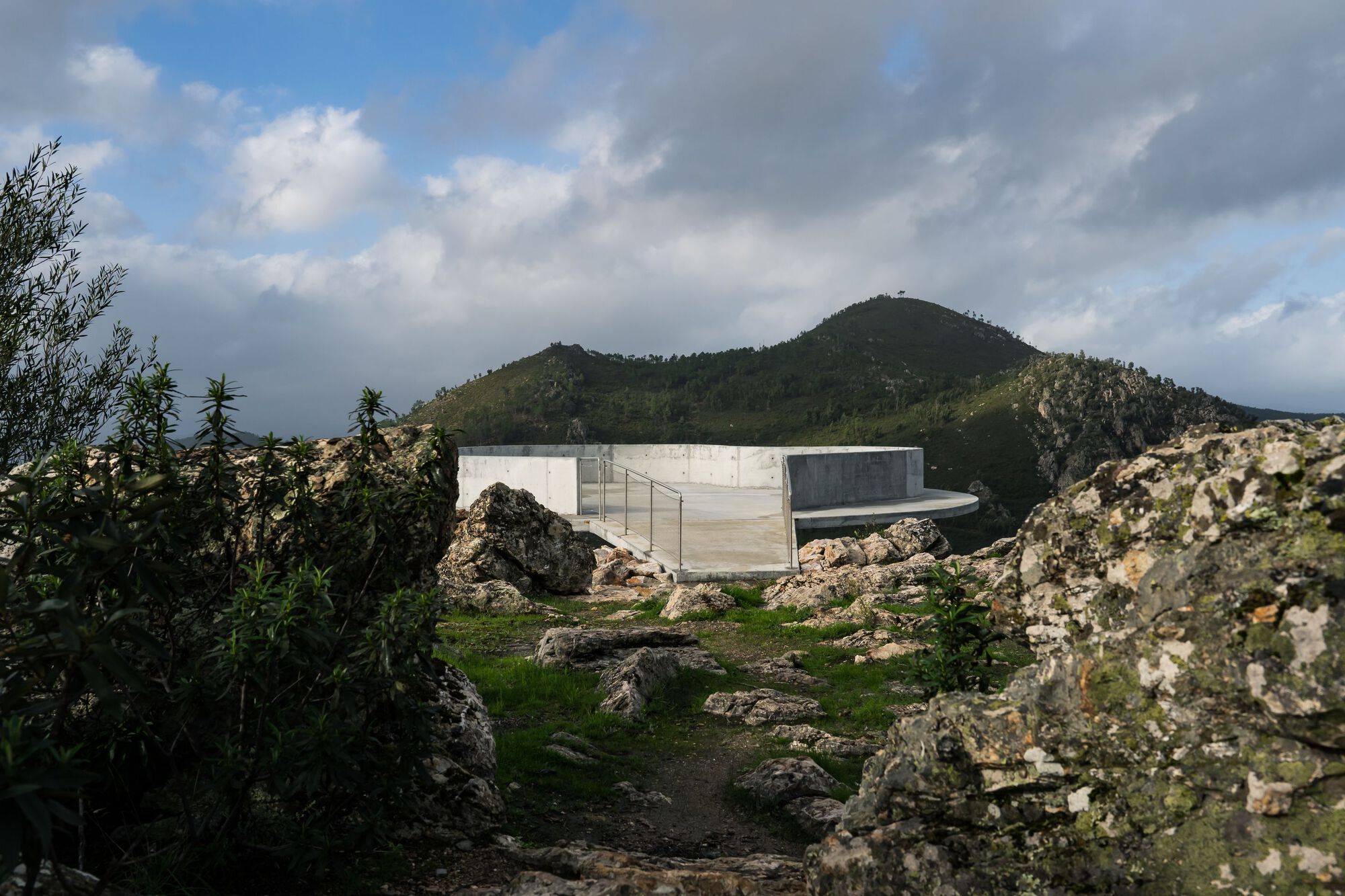 Zebro Viewpoint