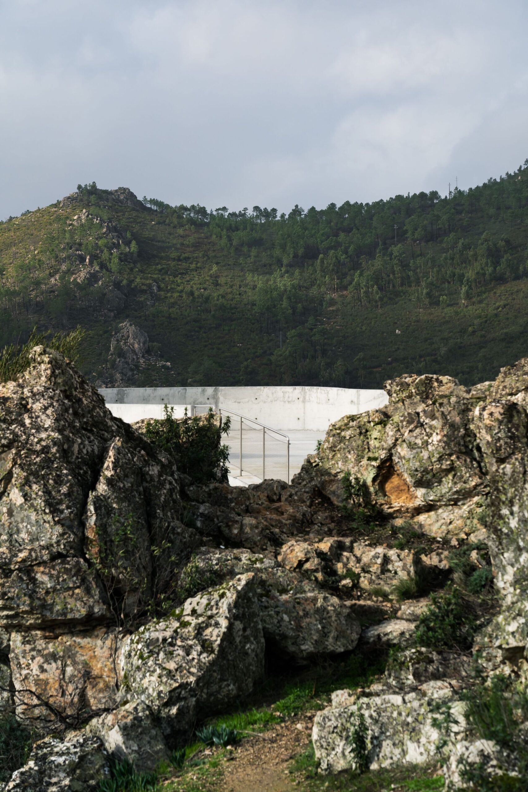 Zebro Viewpoint