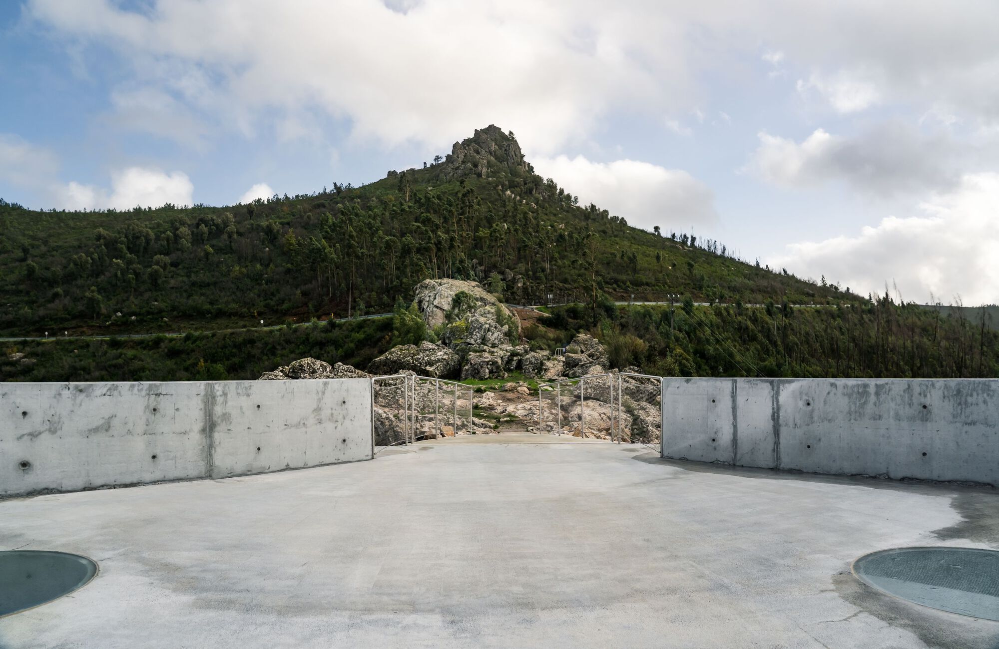 Zebro Viewpoint