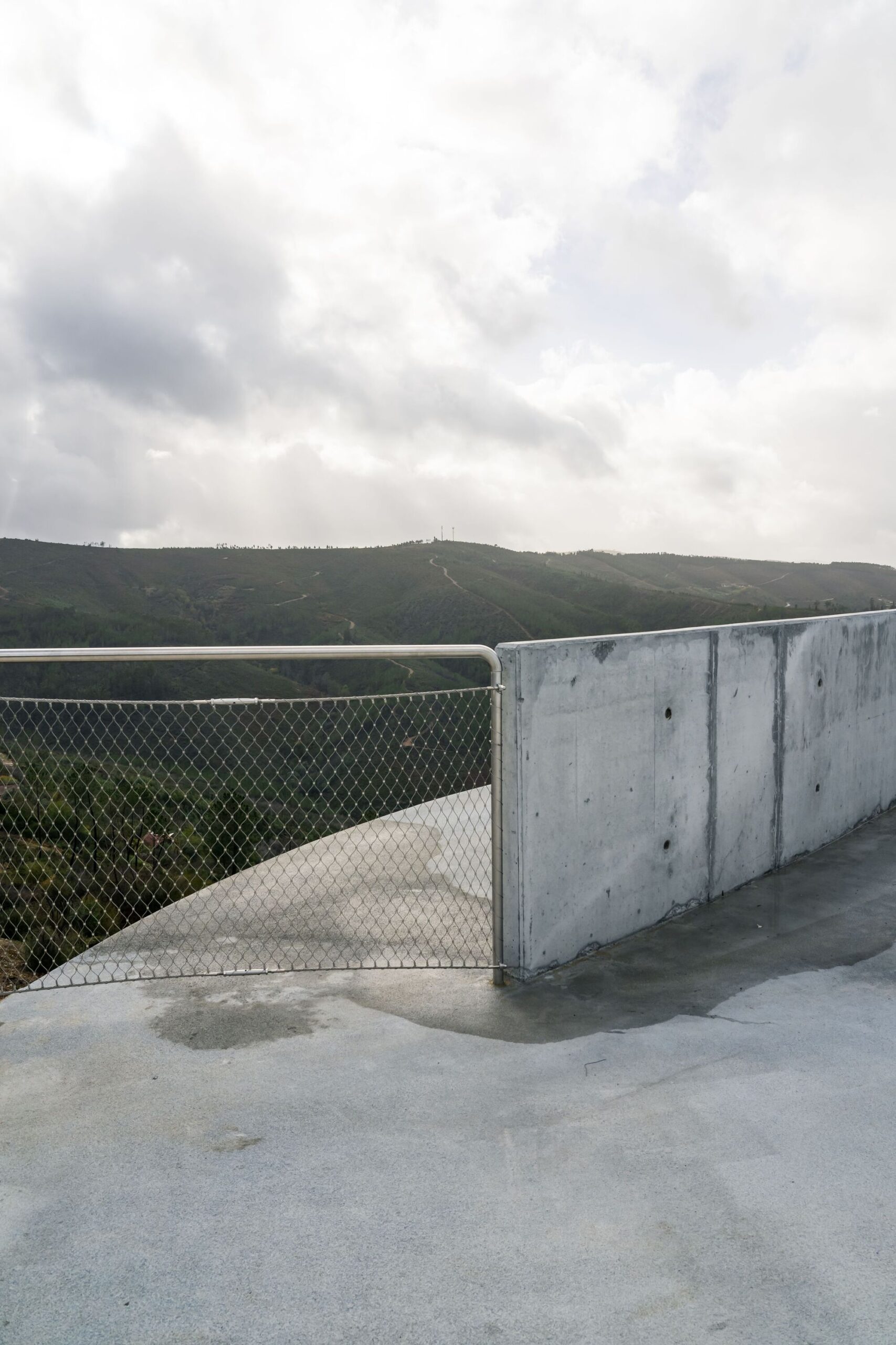 Zebro Viewpoint
