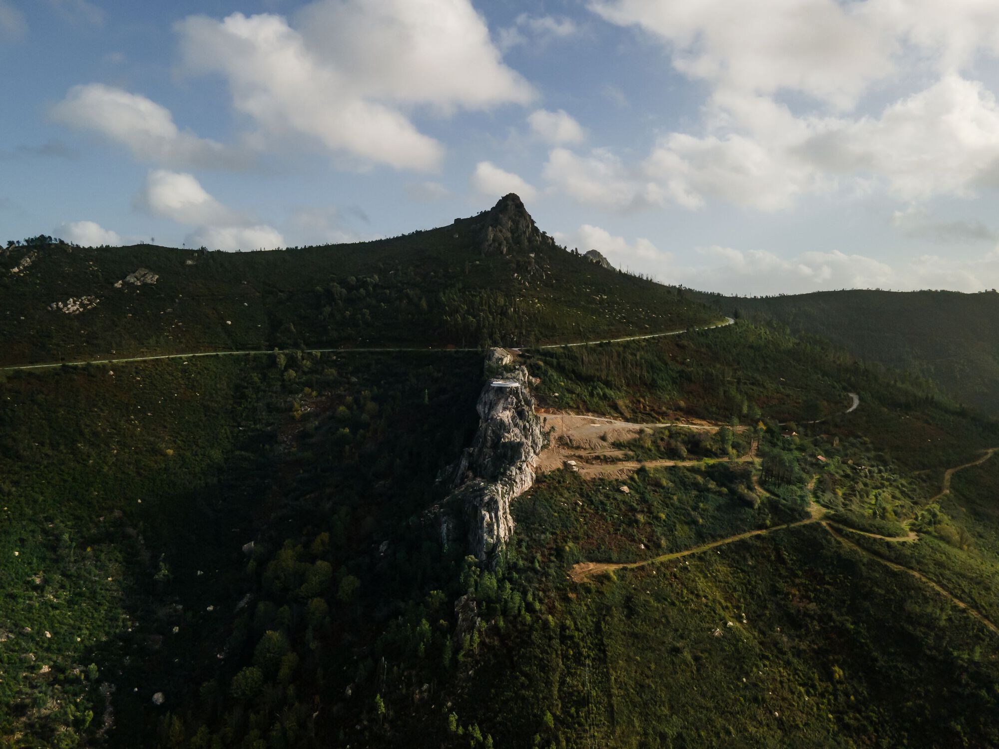 Zebro Viewpoint