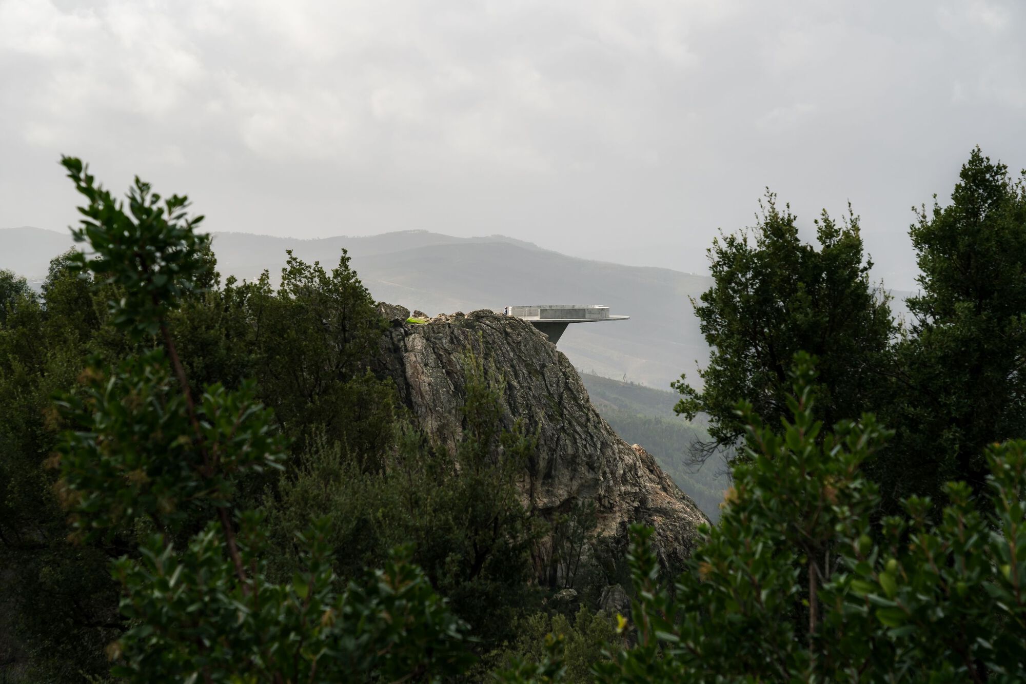 Zebro Viewpoint