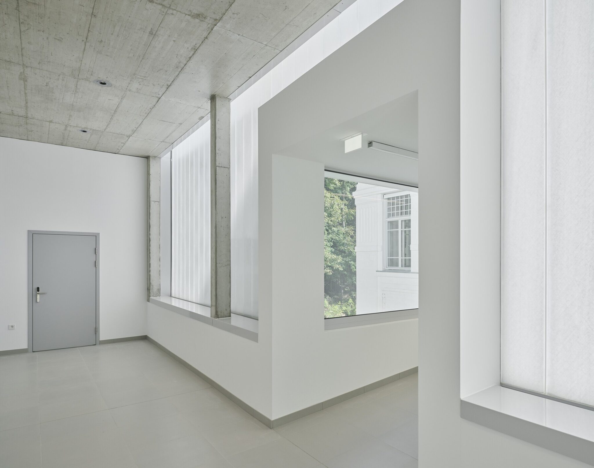 Division of Anatomy | Franz&Sue - Arch2O.com