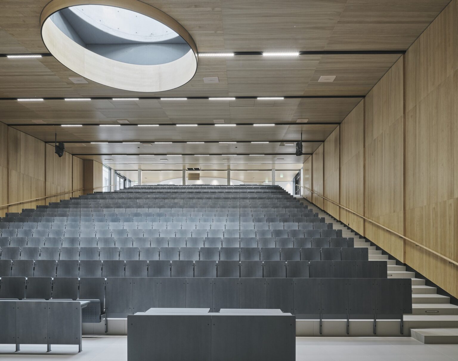 Division of Anatomy | Franz&Sue - Arch2O.com