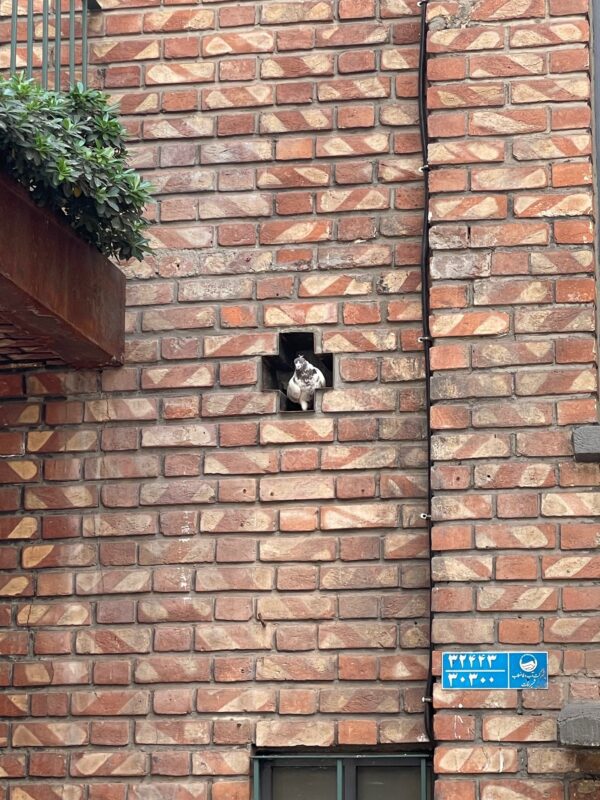 Pigeon house