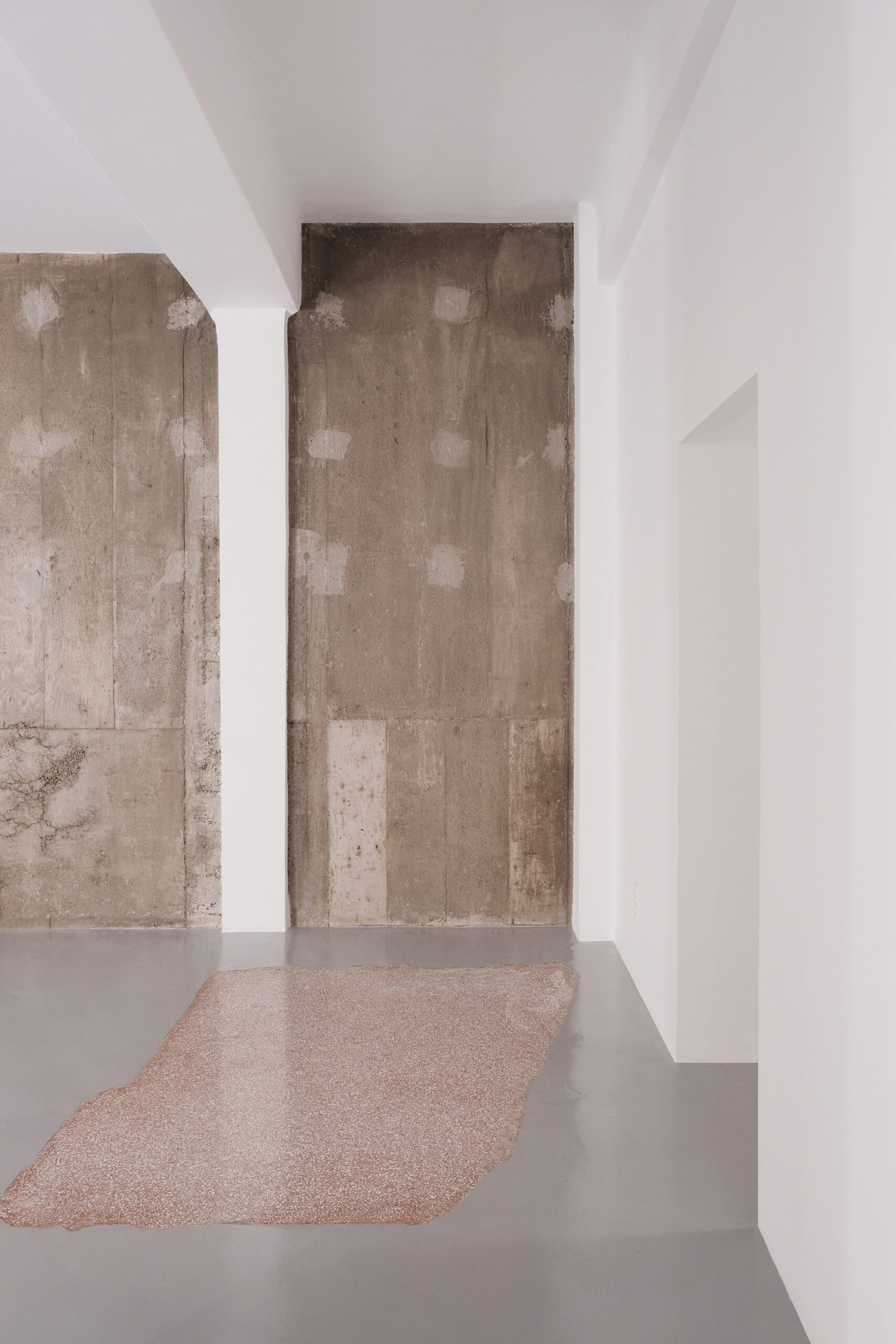 XT97 Modernist Housing