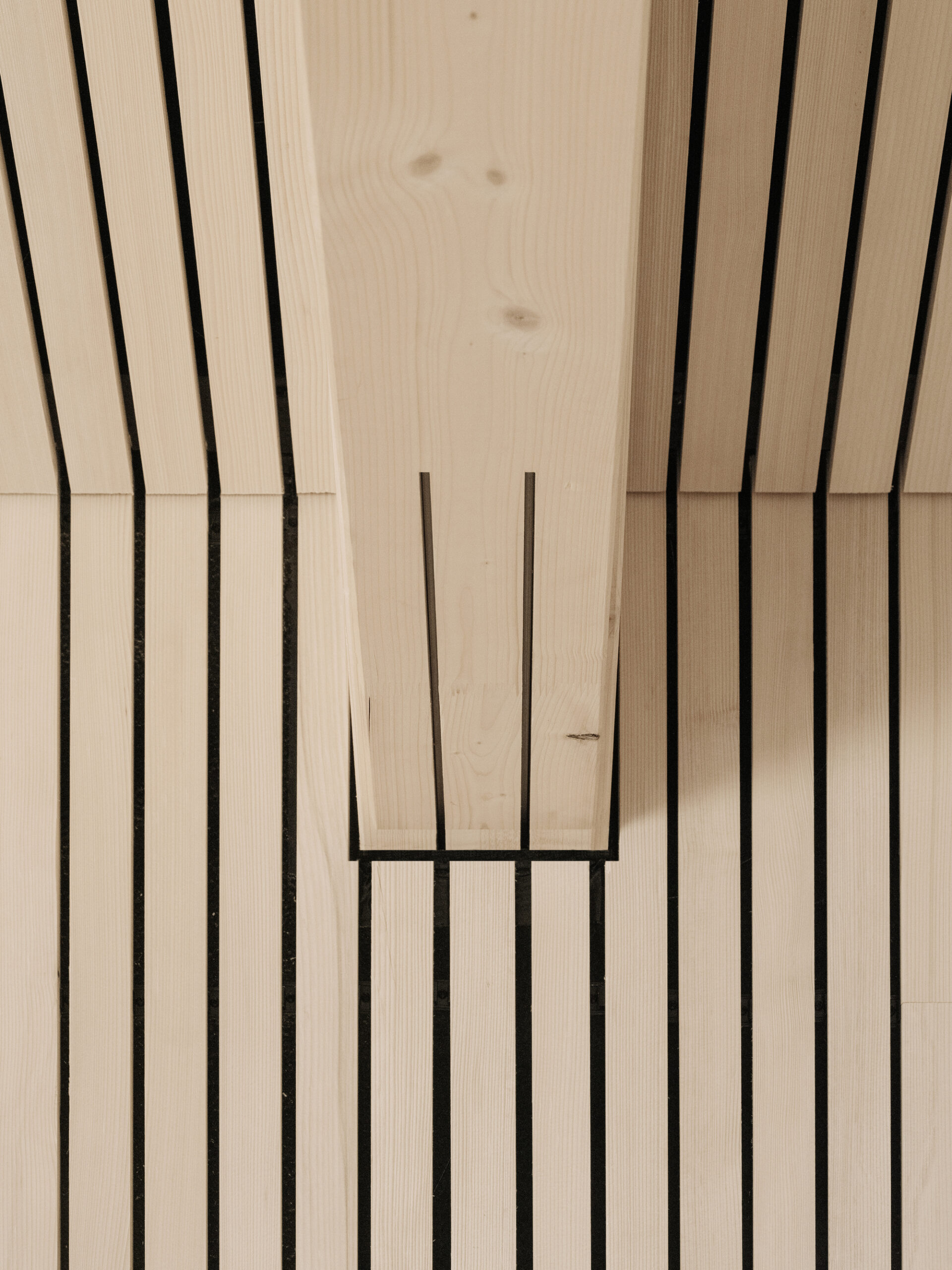 Community Center Langen bei Bregenz