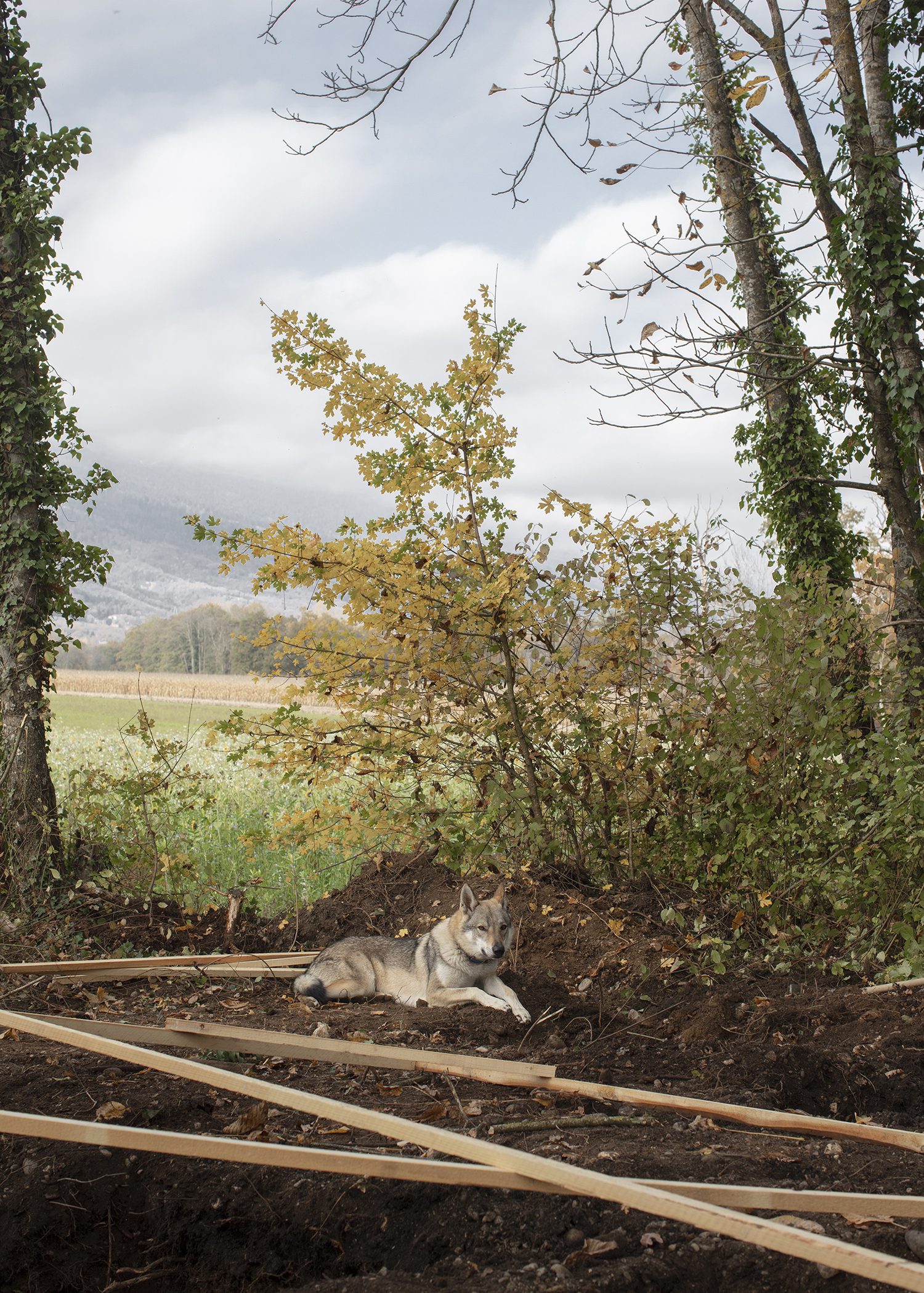 Therese Livable Sculpture