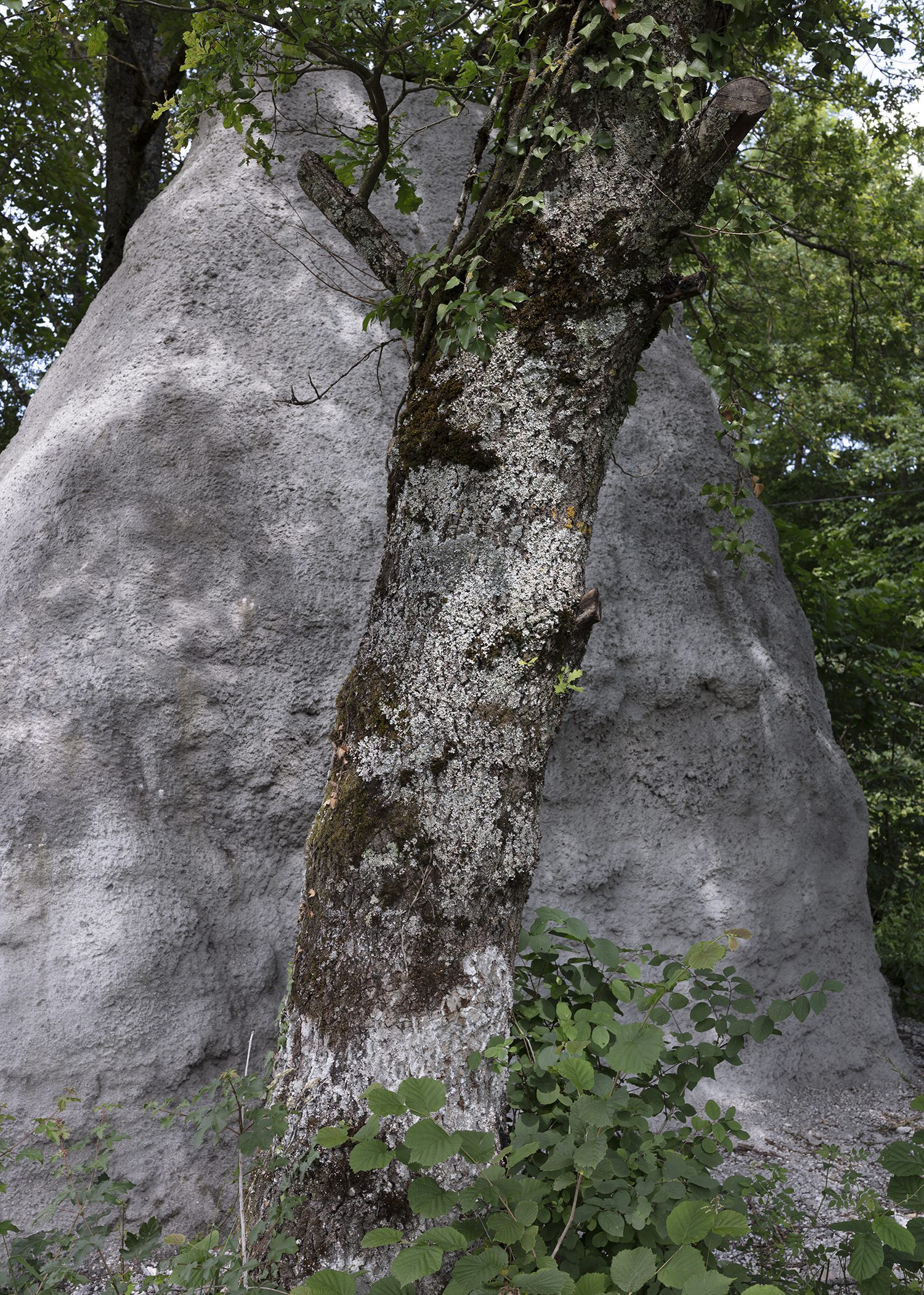 Therese Livable Sculpture