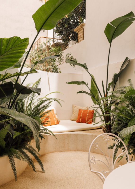 © Francisco Nogueira2