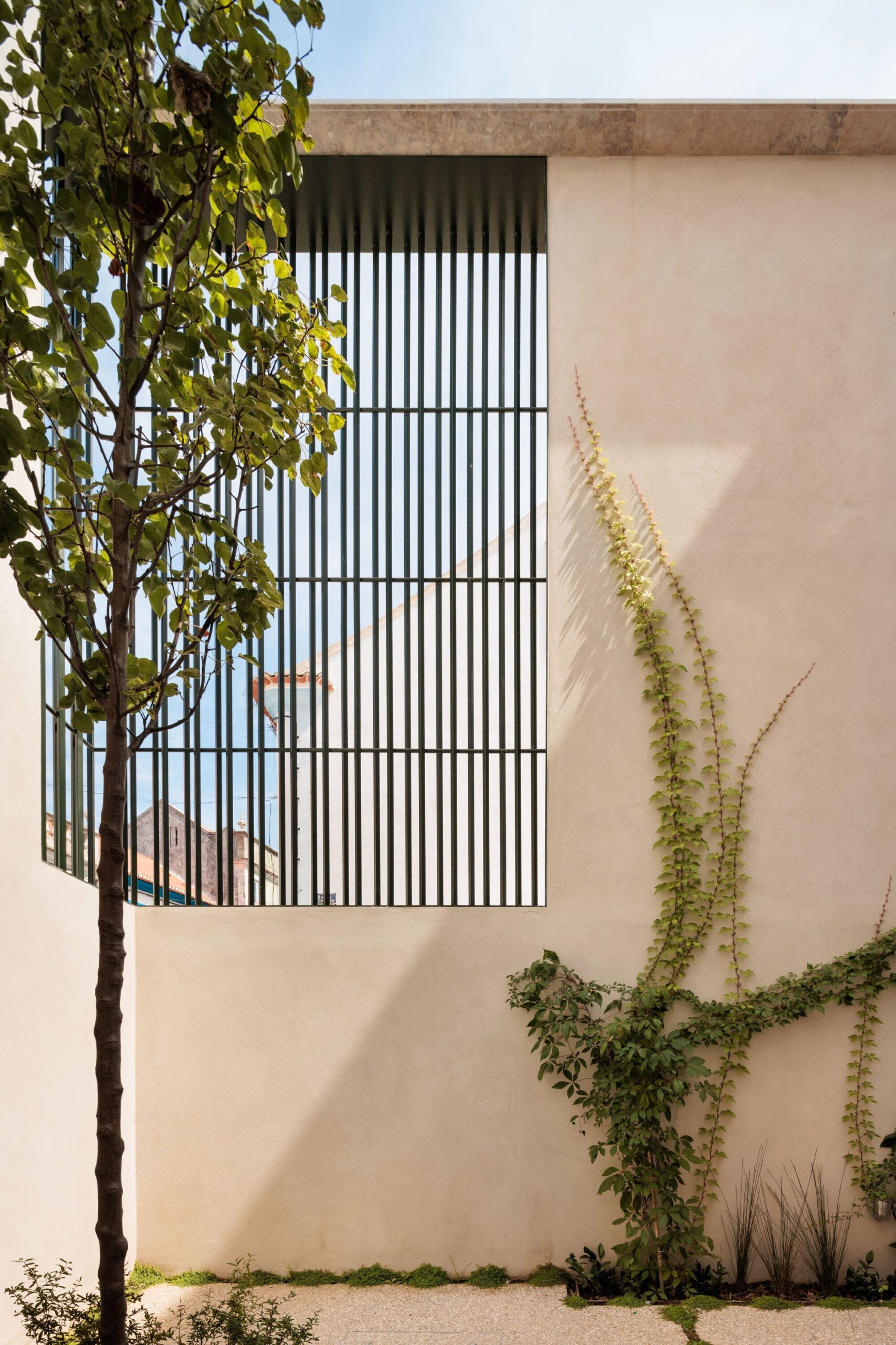 Montijo Municipal Gallery's Garden