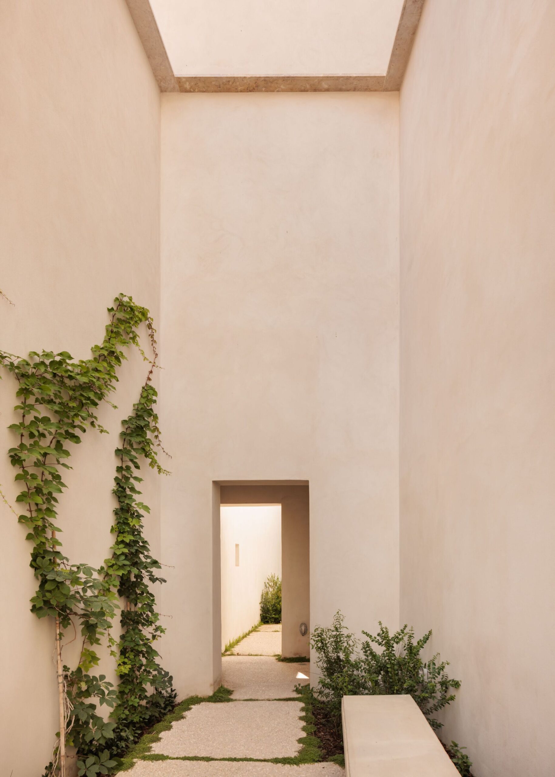 Montijo Municipal Gallery's Garden