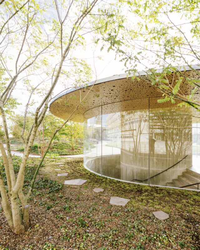 © Francisco Tirado5