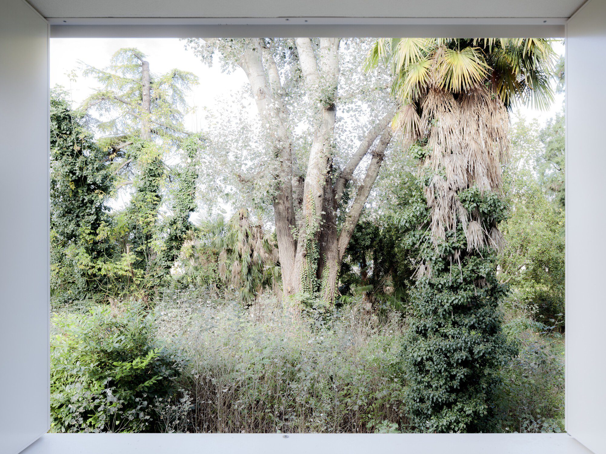 Villa Dominicale Security Intervention
