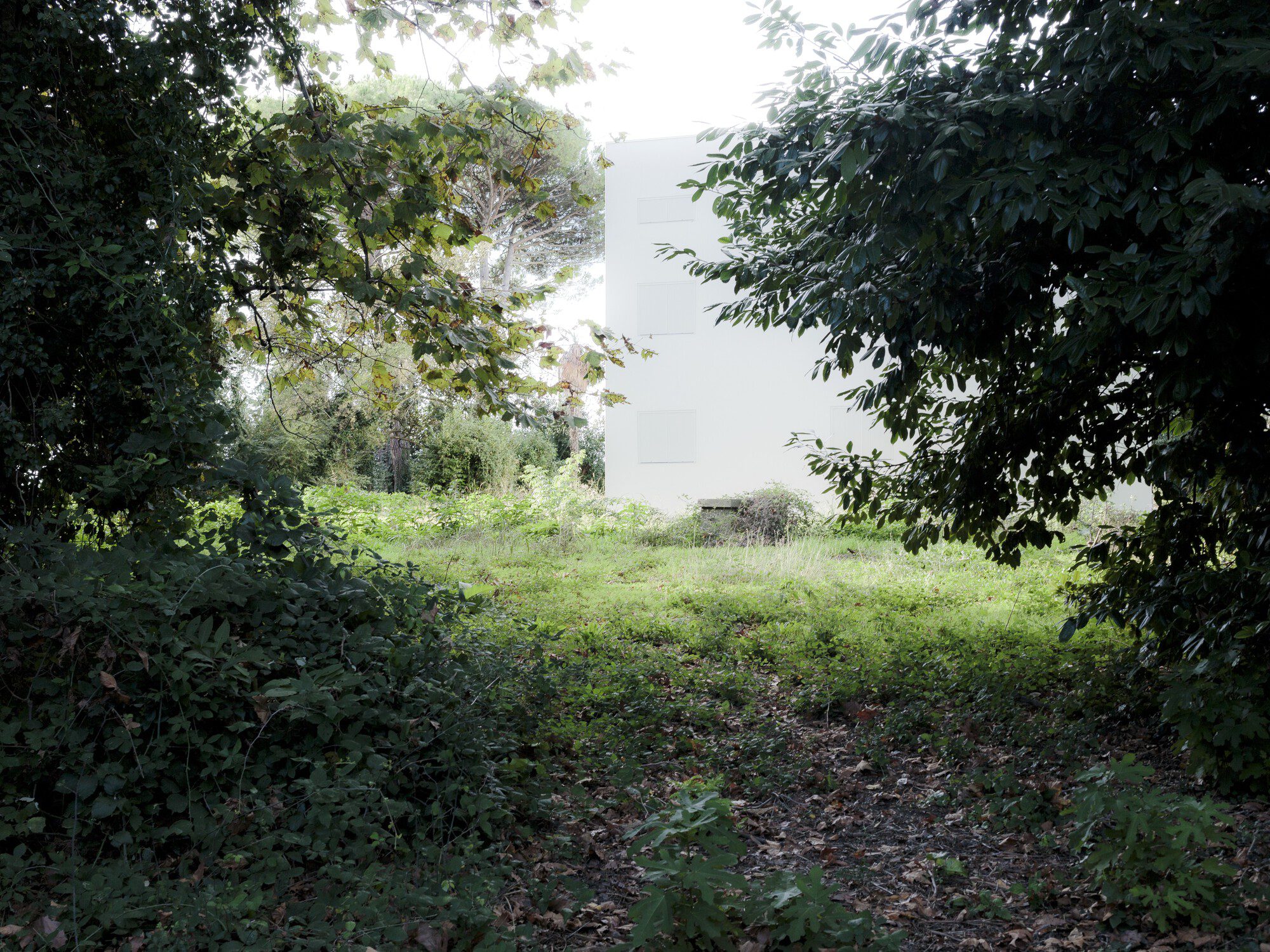 Villa Dominicale Security Intervention