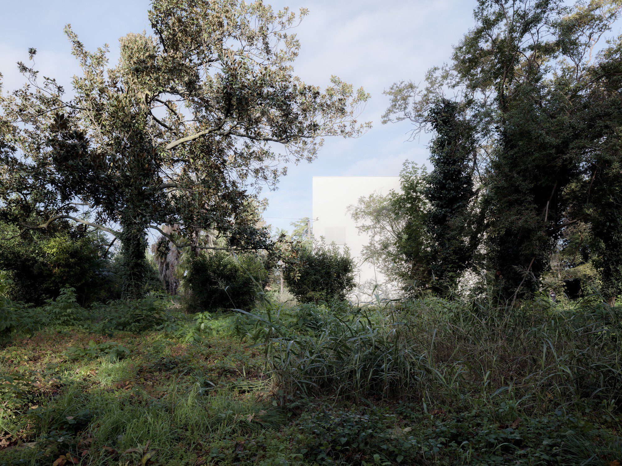 Villa Dominicale Security Intervention