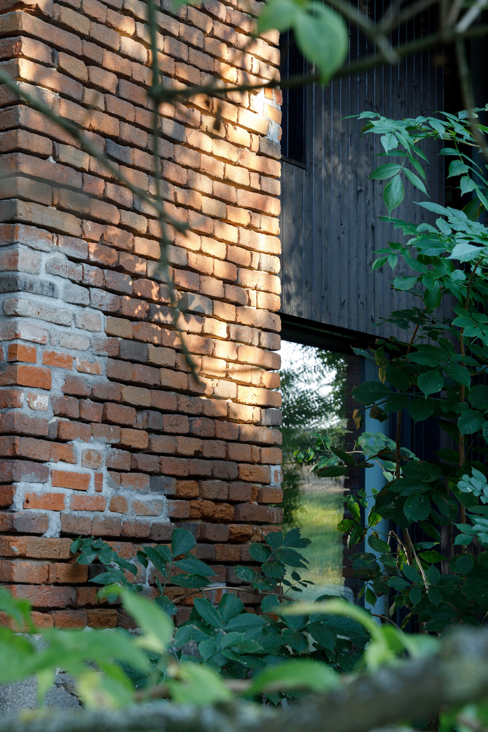 Dirnbergergut Building Ensemble