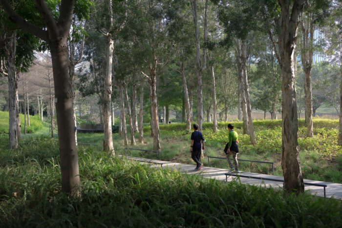 Qianhai’s Guiwan Park