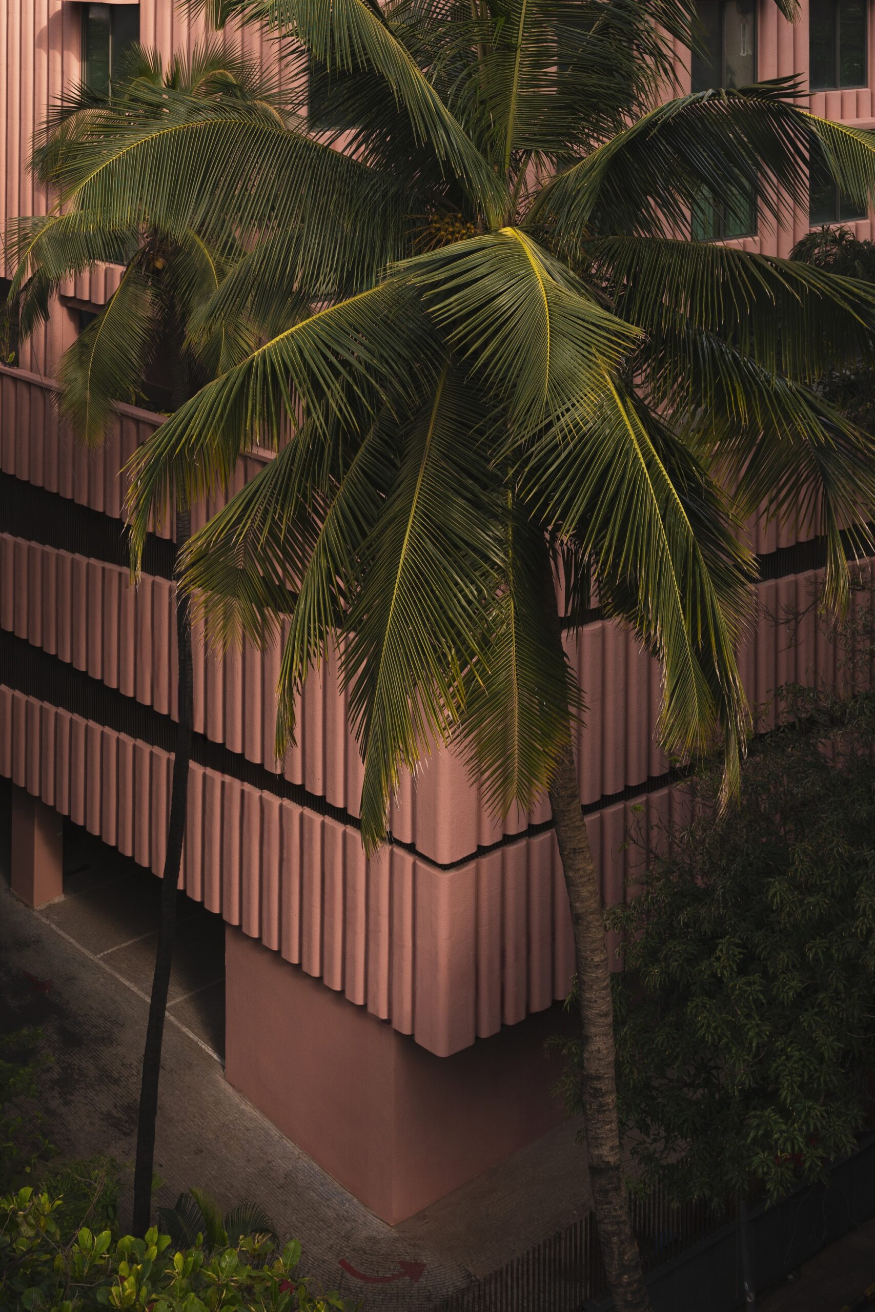 Satguru’s Rendezvous