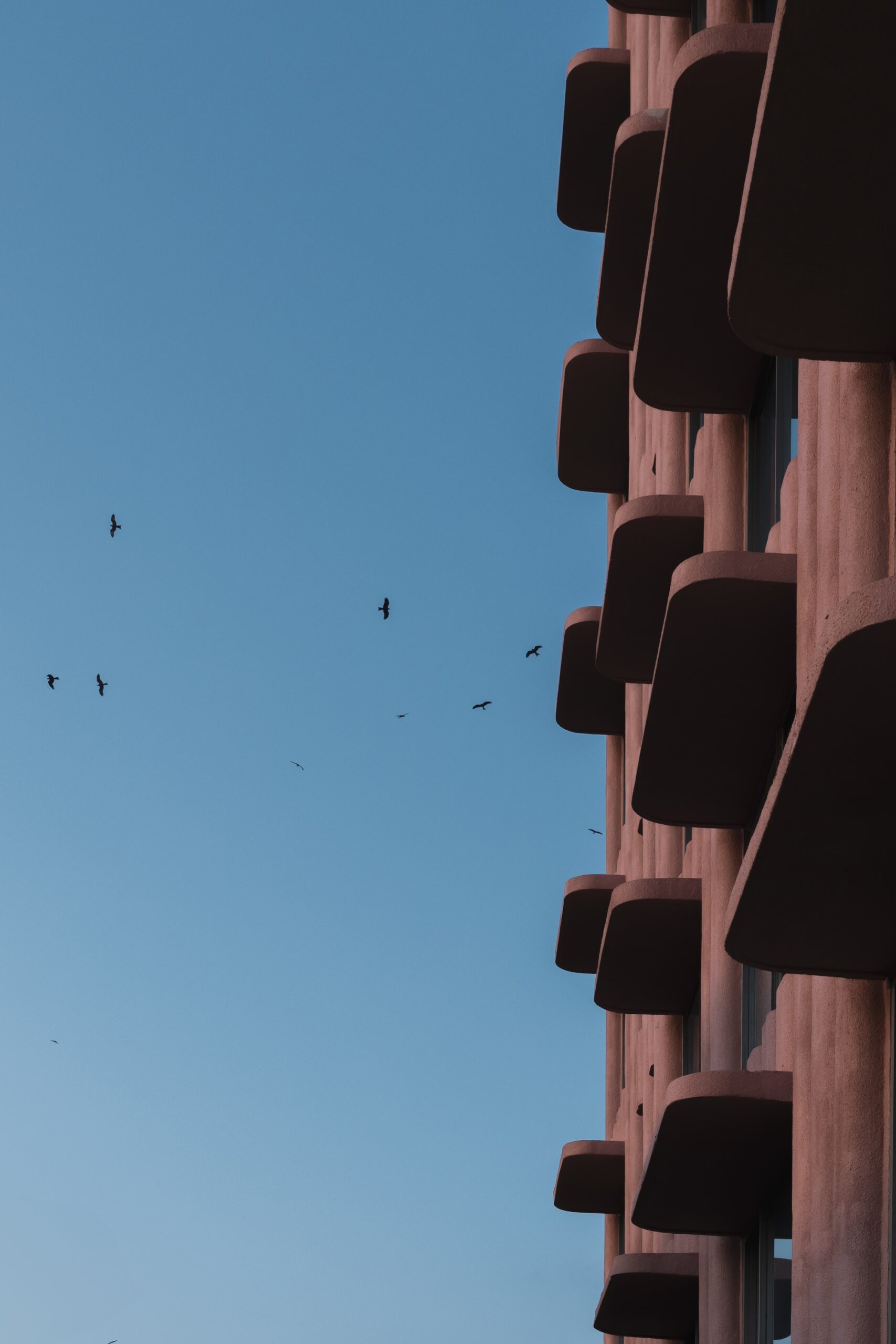 Satguru’s Rendezvous