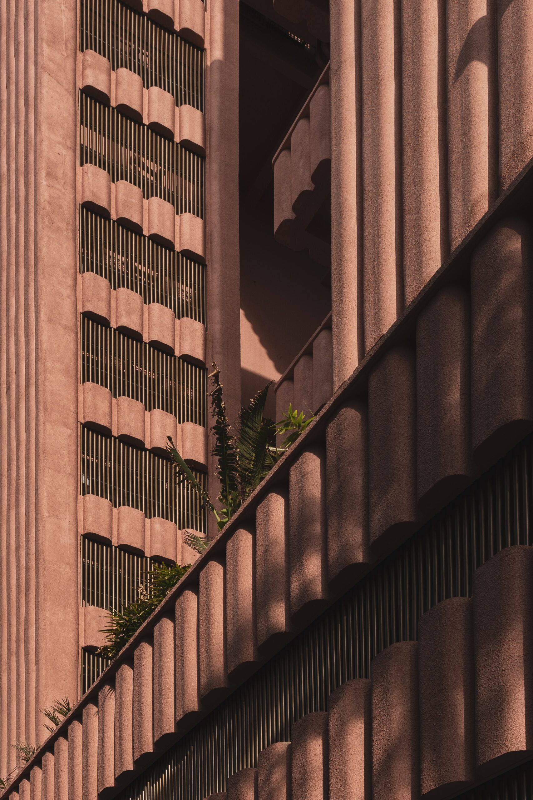 Satguru’s Rendezvous