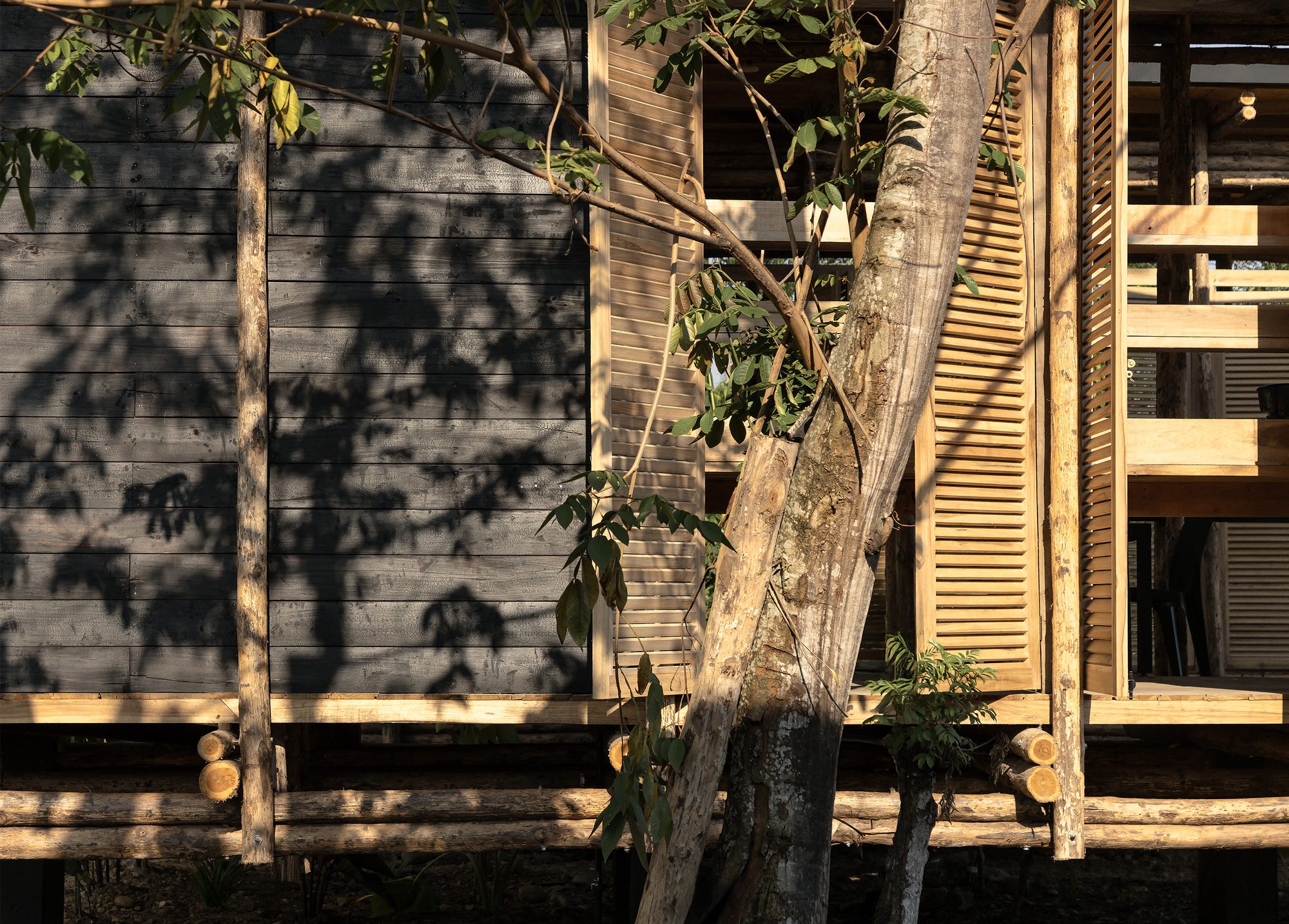 La Panificadora Centro desarrollo y de producción rural