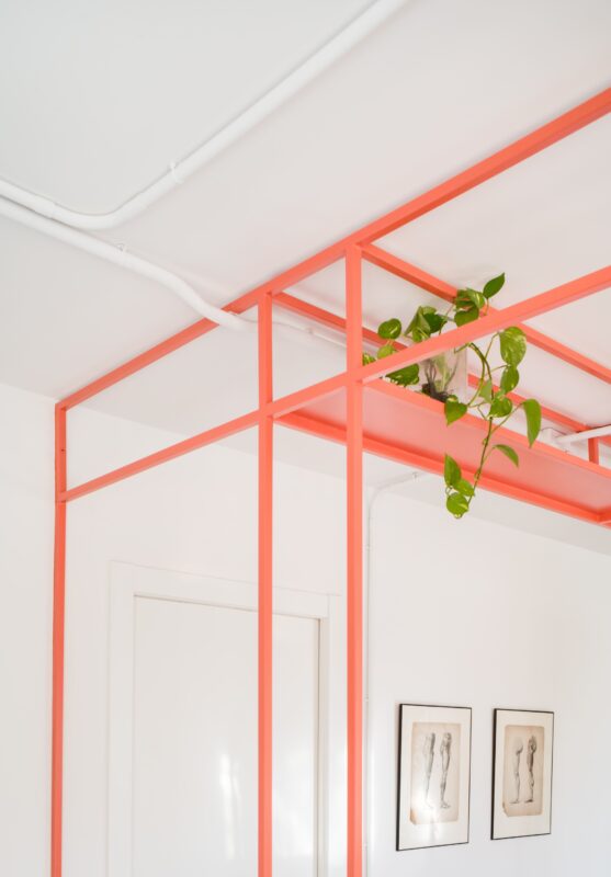 © Javier de Paz García4