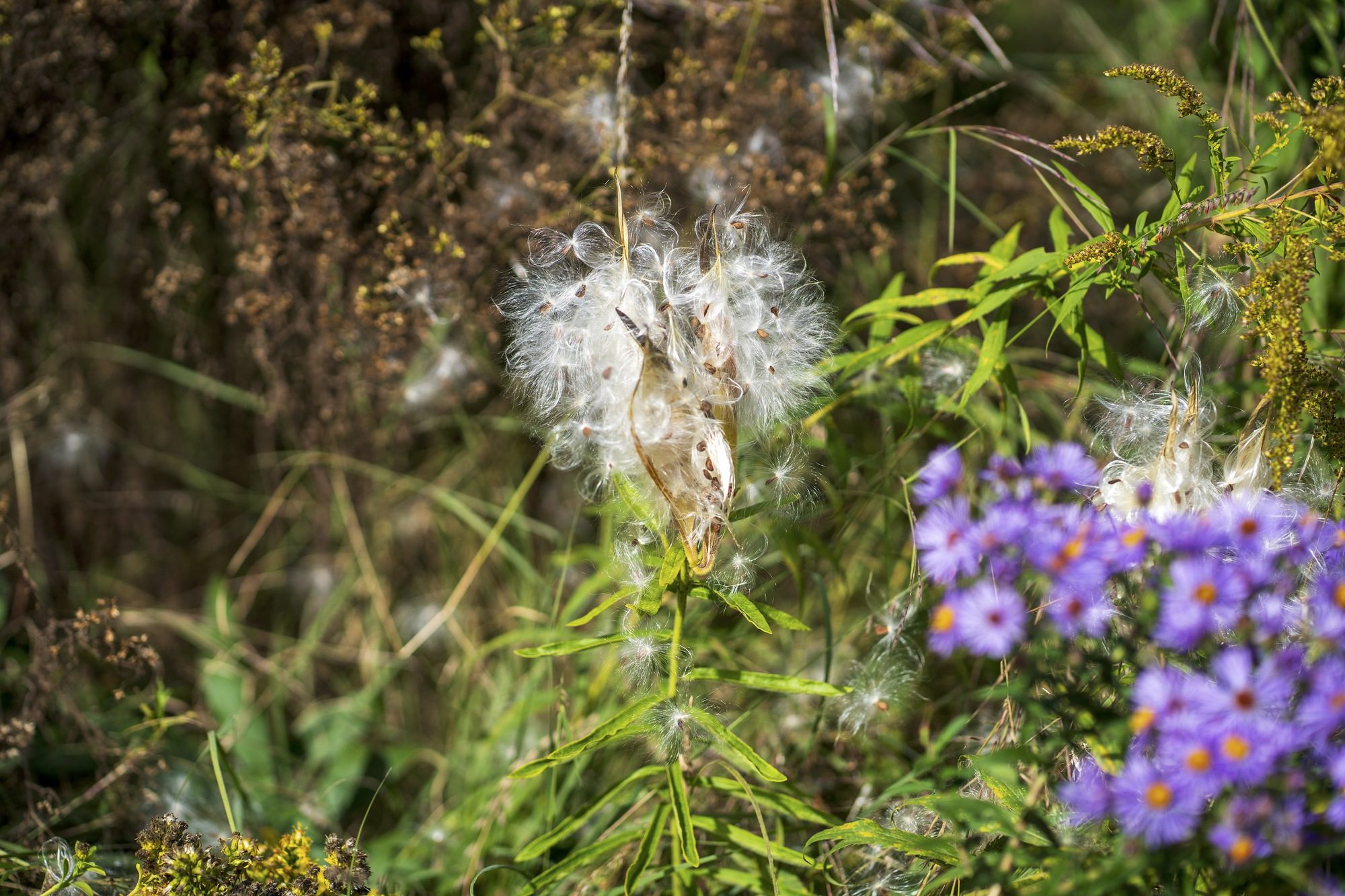 West Don Ravine Passive House