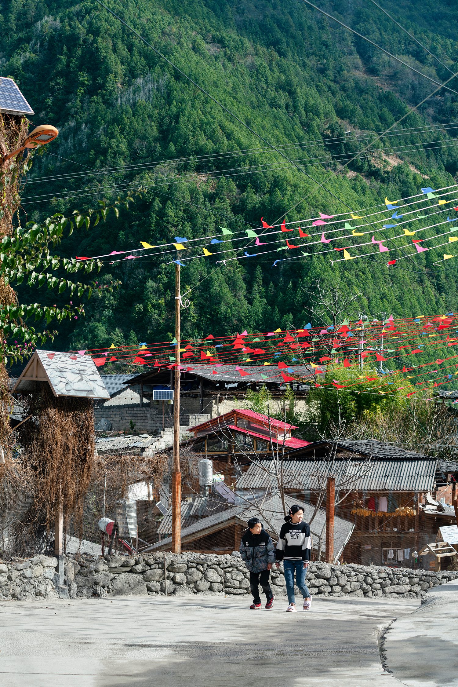 “Flower on Hillside” Community Library