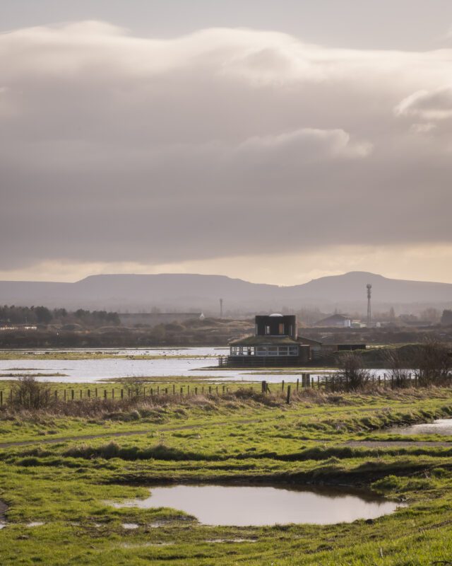 Saltholme Pools
