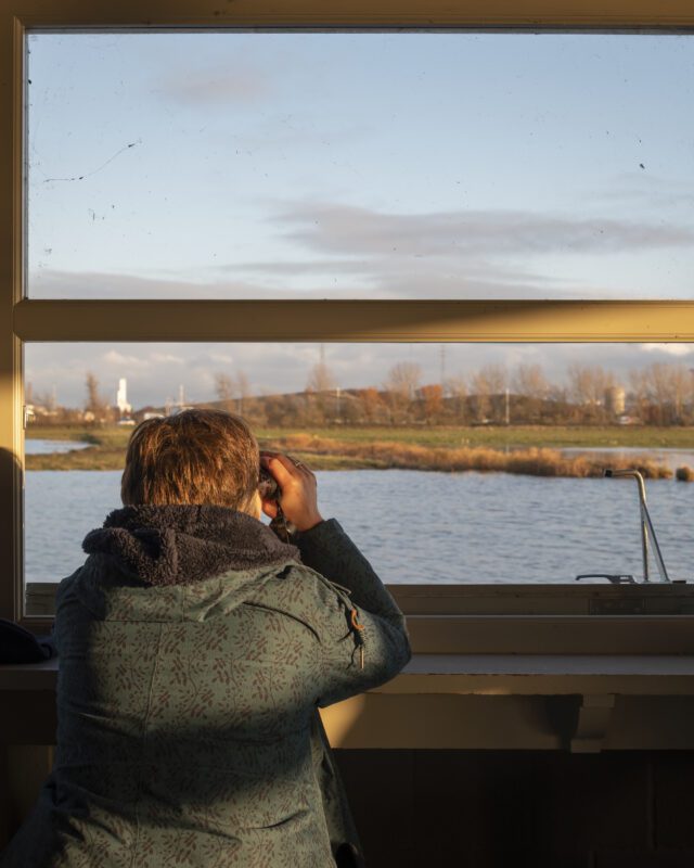 Saltholme Pools