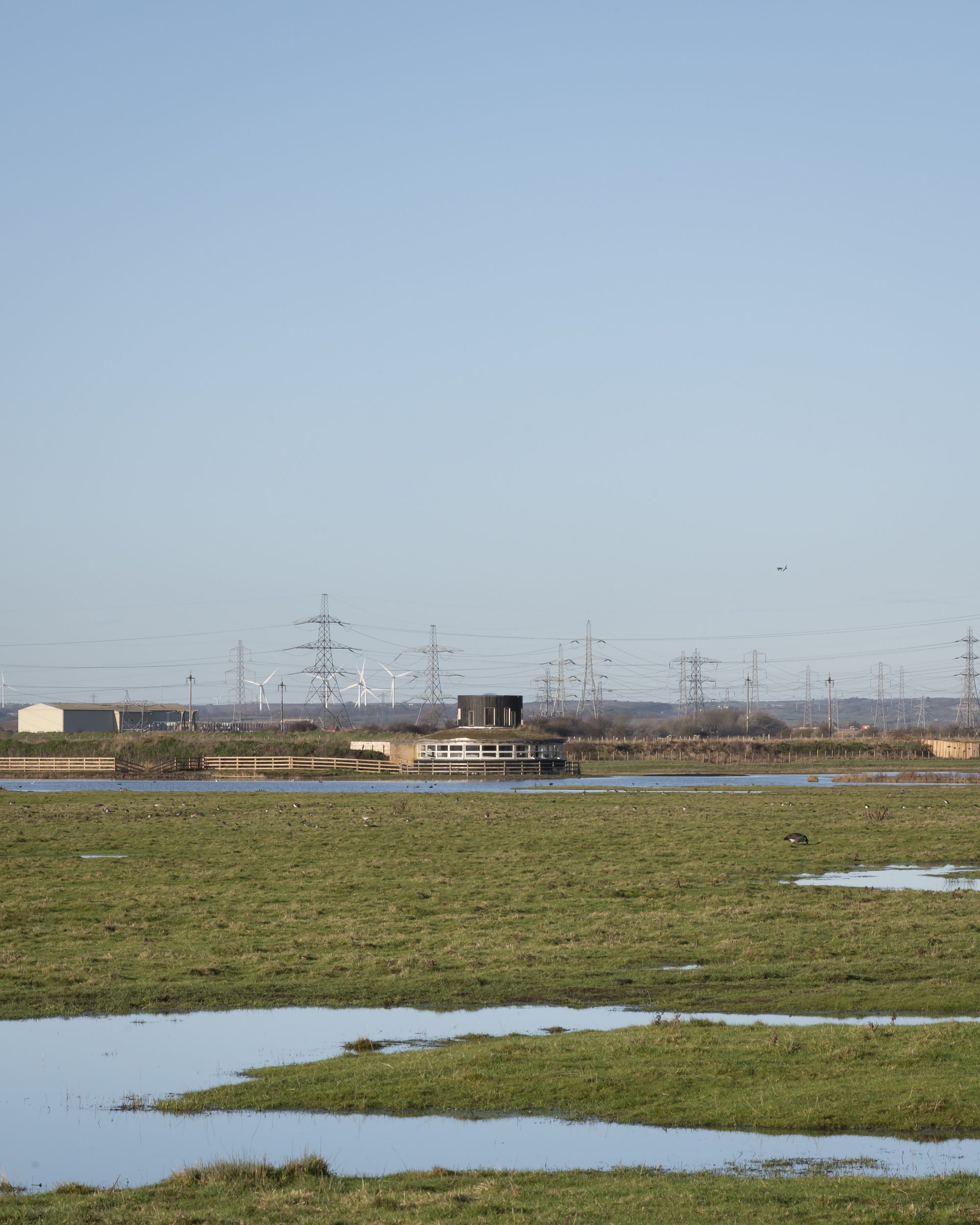 Saltholme Pools