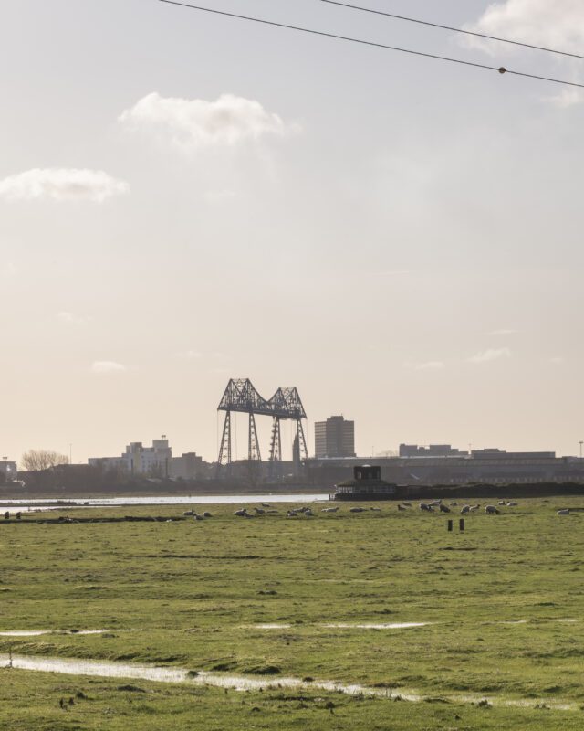 Saltholme Pools