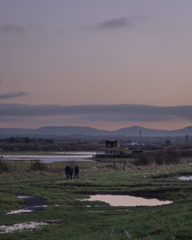 Saltholme Pools