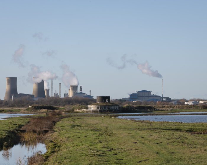 Saltholme Pools