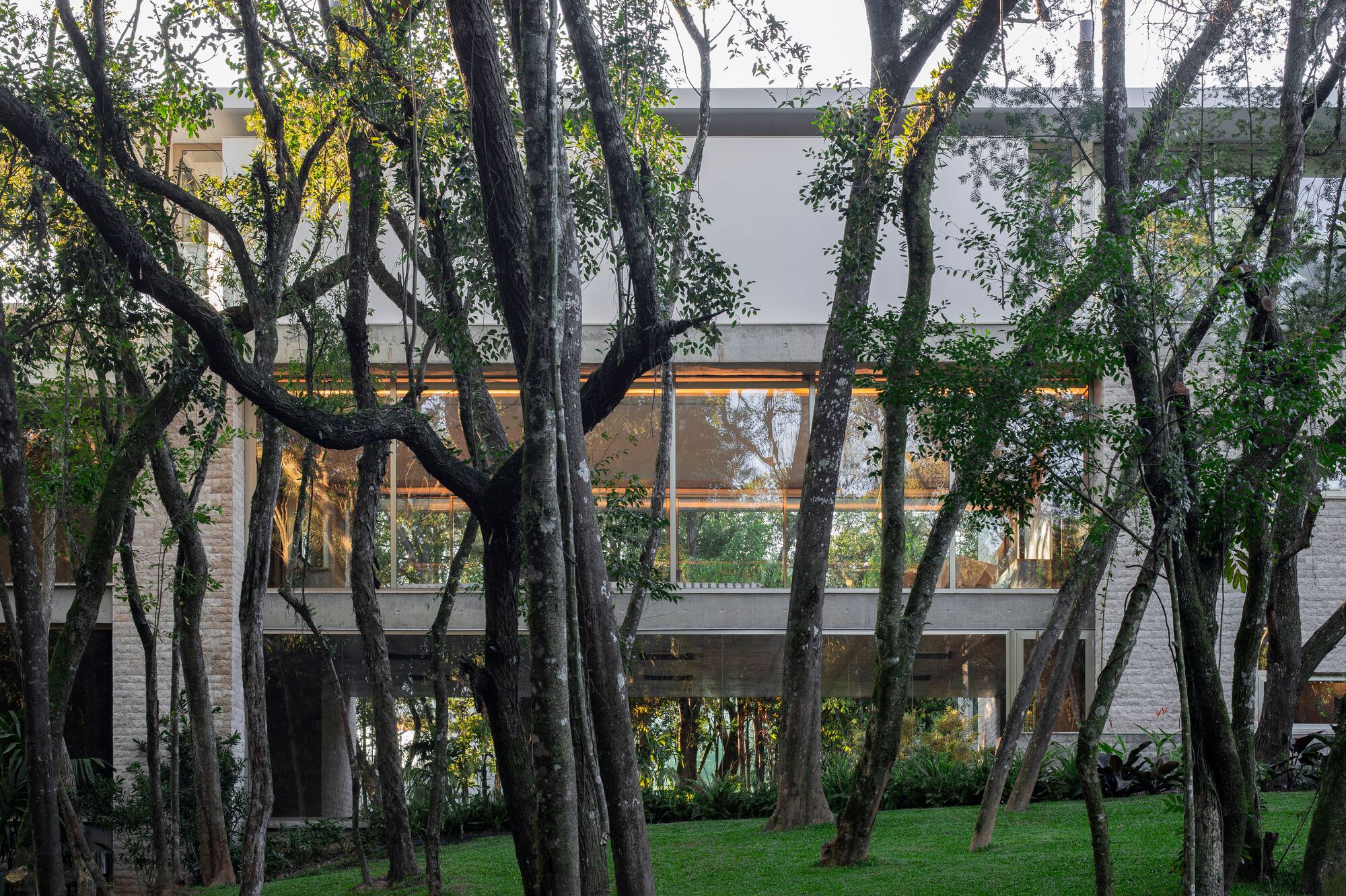 House Pedra