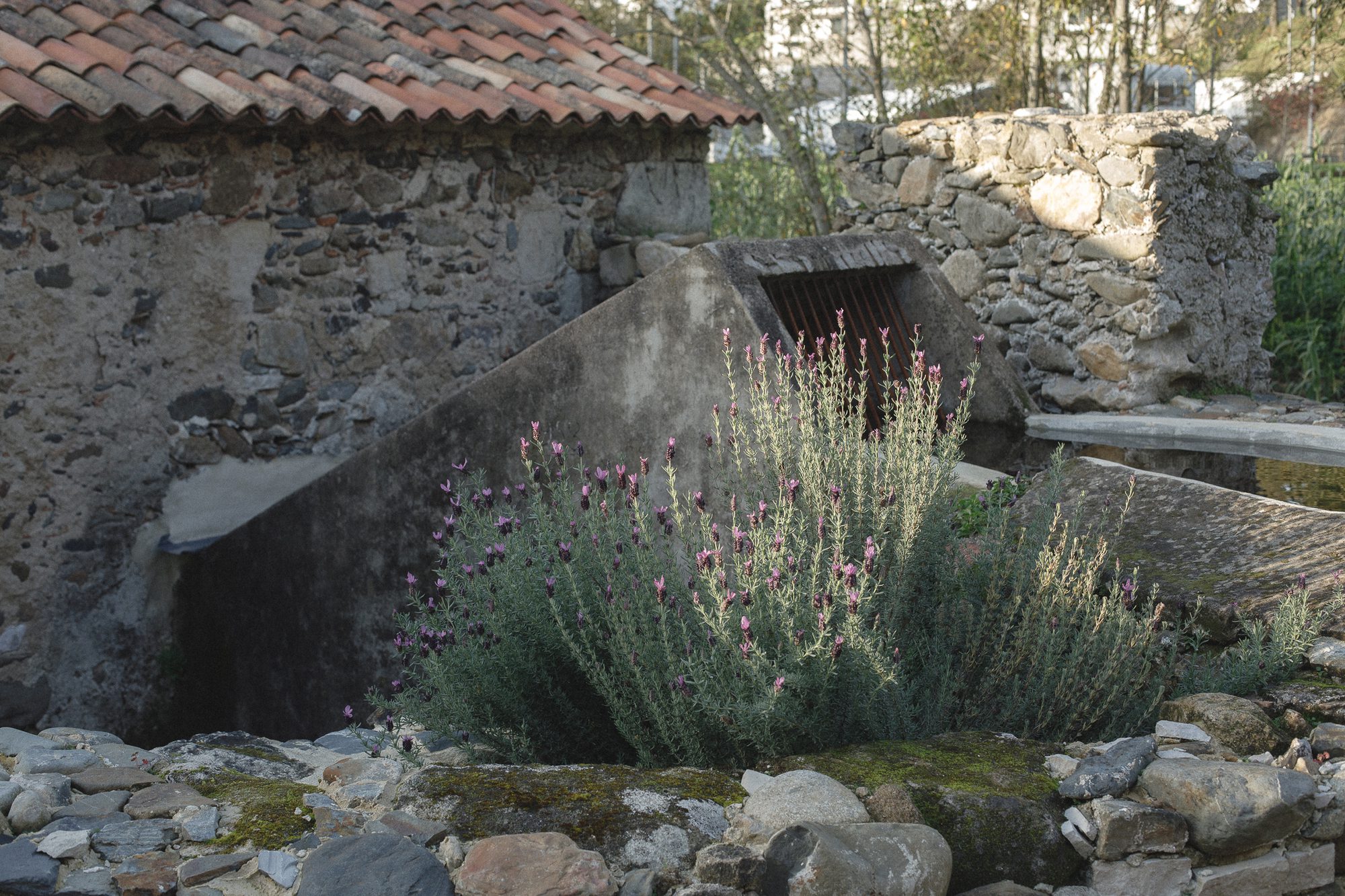 Cereal Interpretation Center