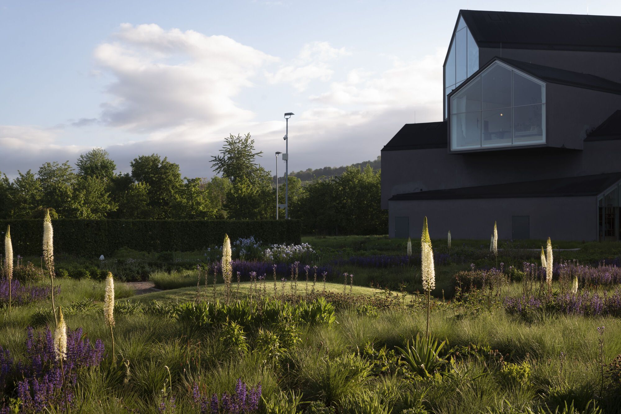 Vitra Oudolf Garden