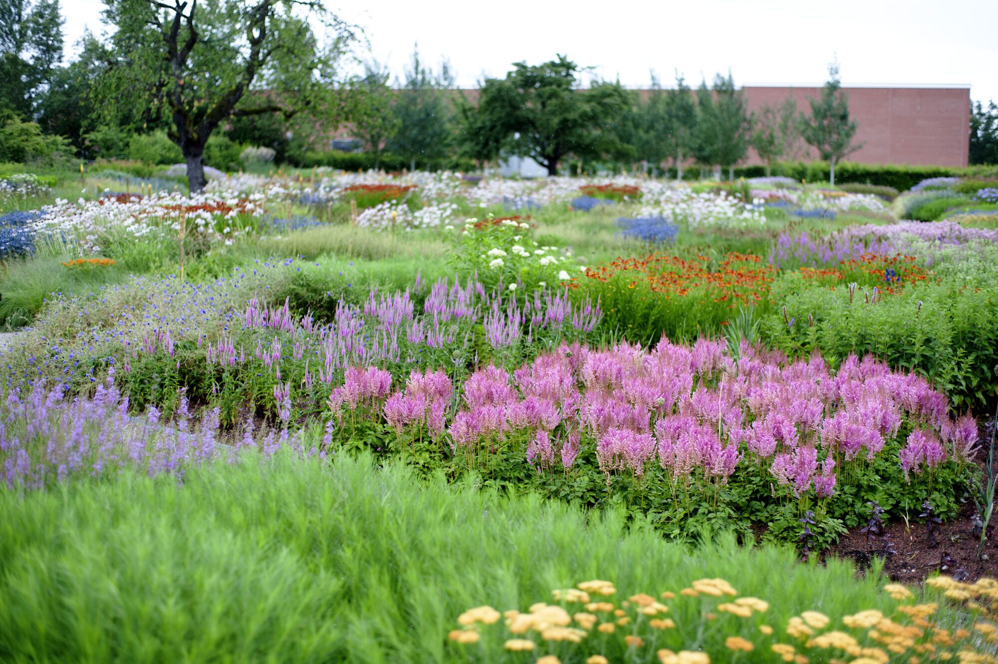 Vitra Oudolf Garden