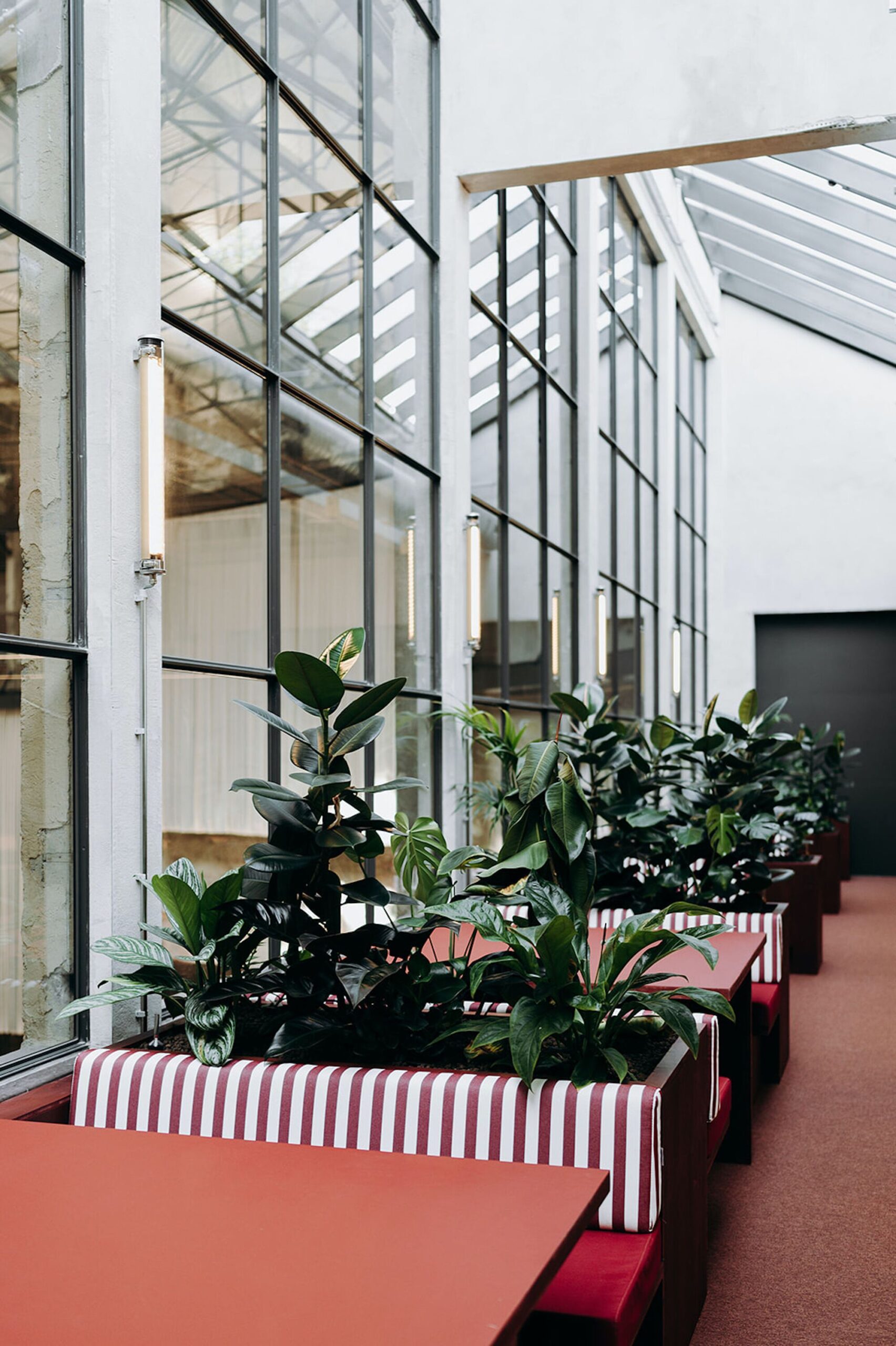 Wintercircus Technological and Cultural Hub