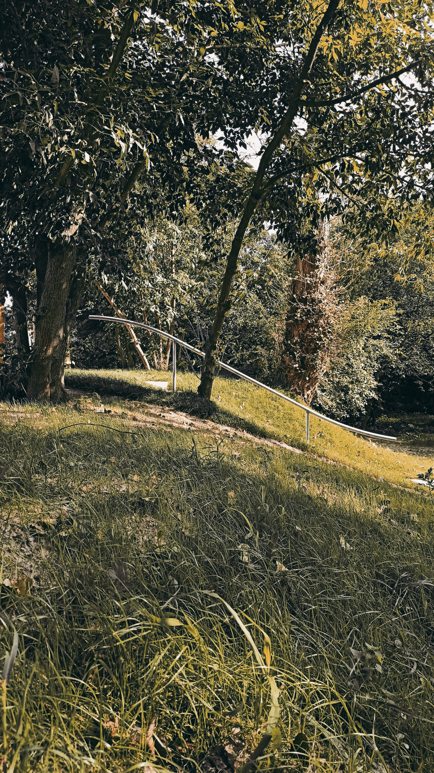 Recreational Area at the Vistula Riverside