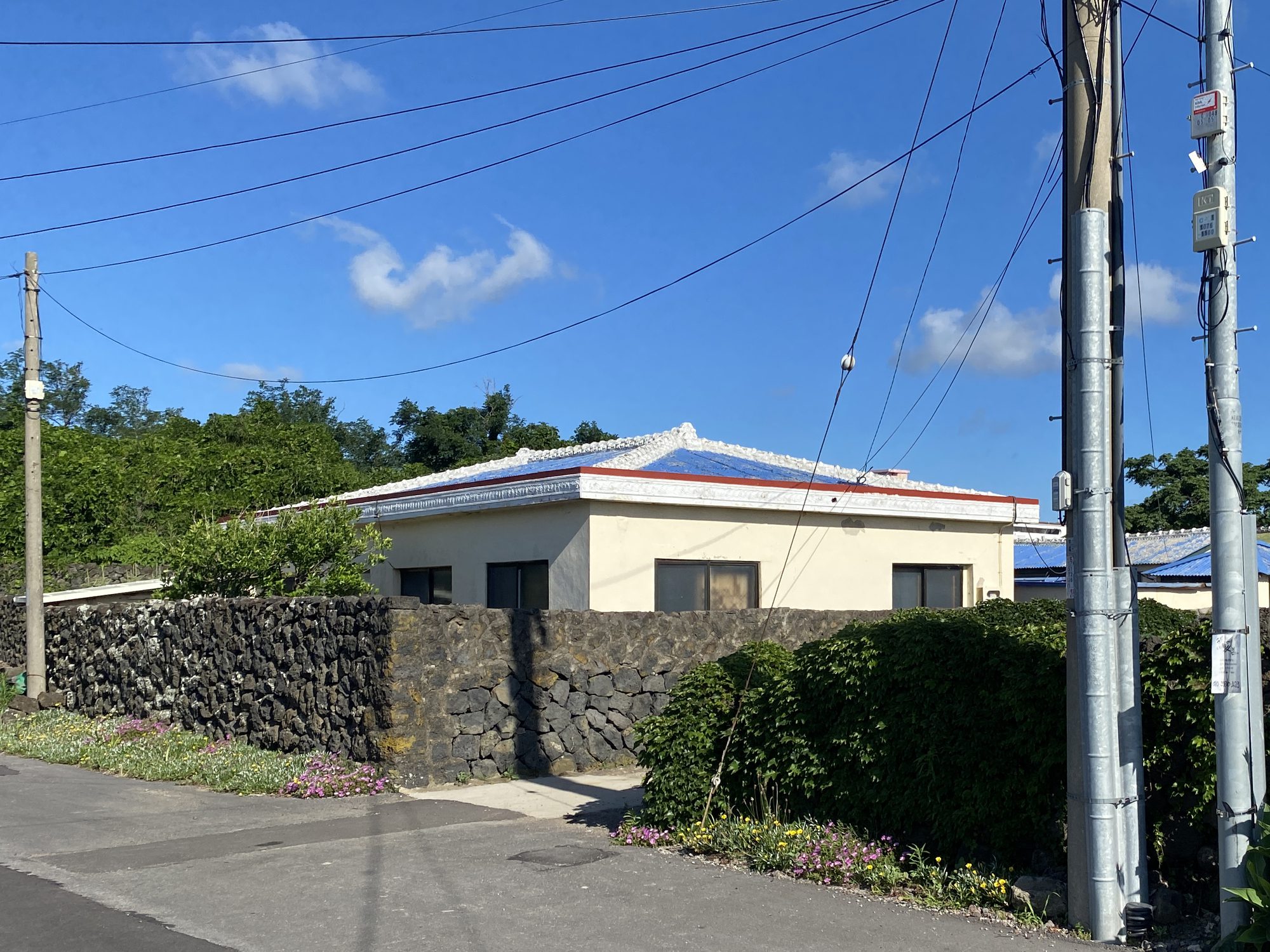 House Covered House