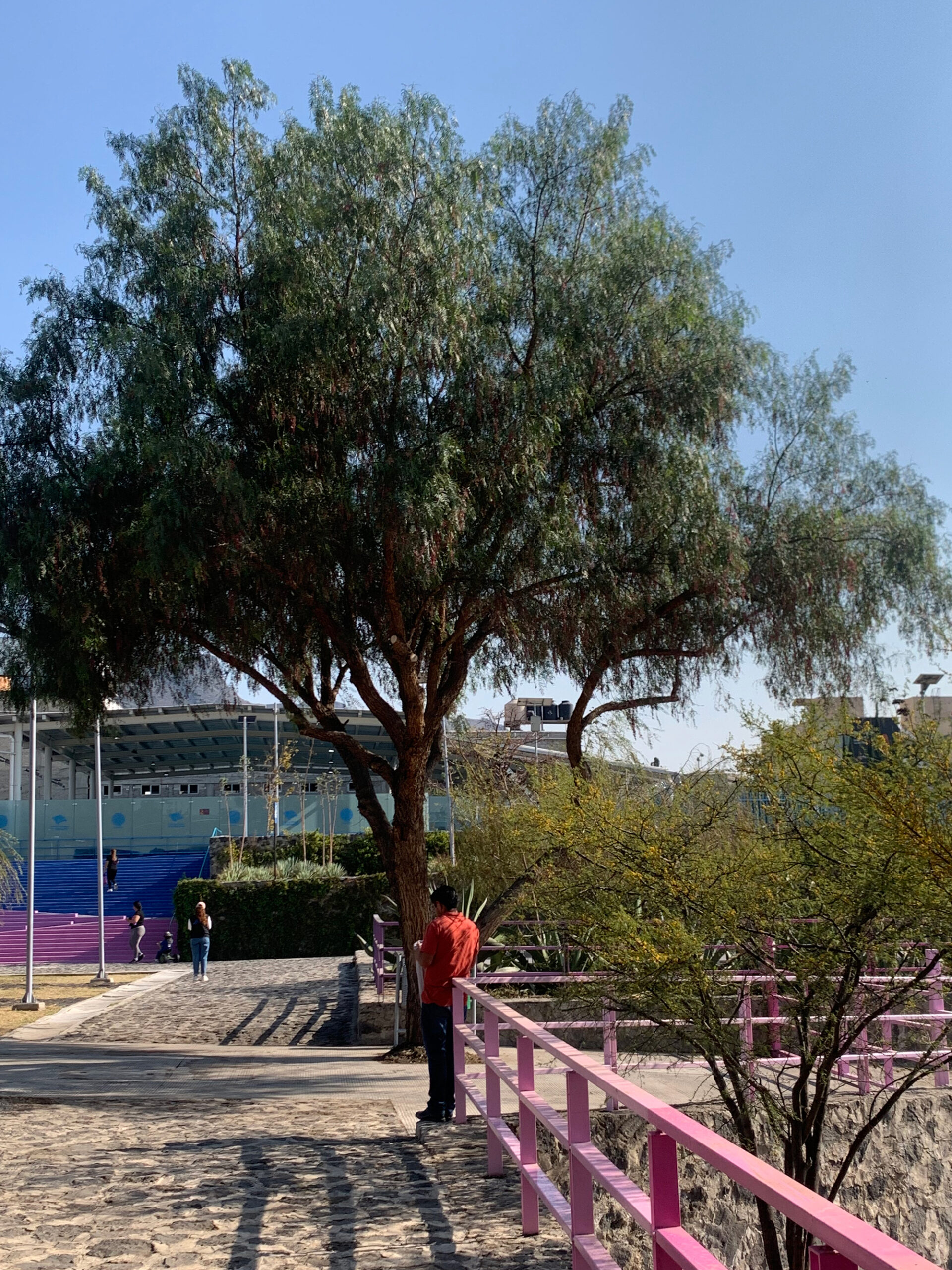 La Quebradora Water Park