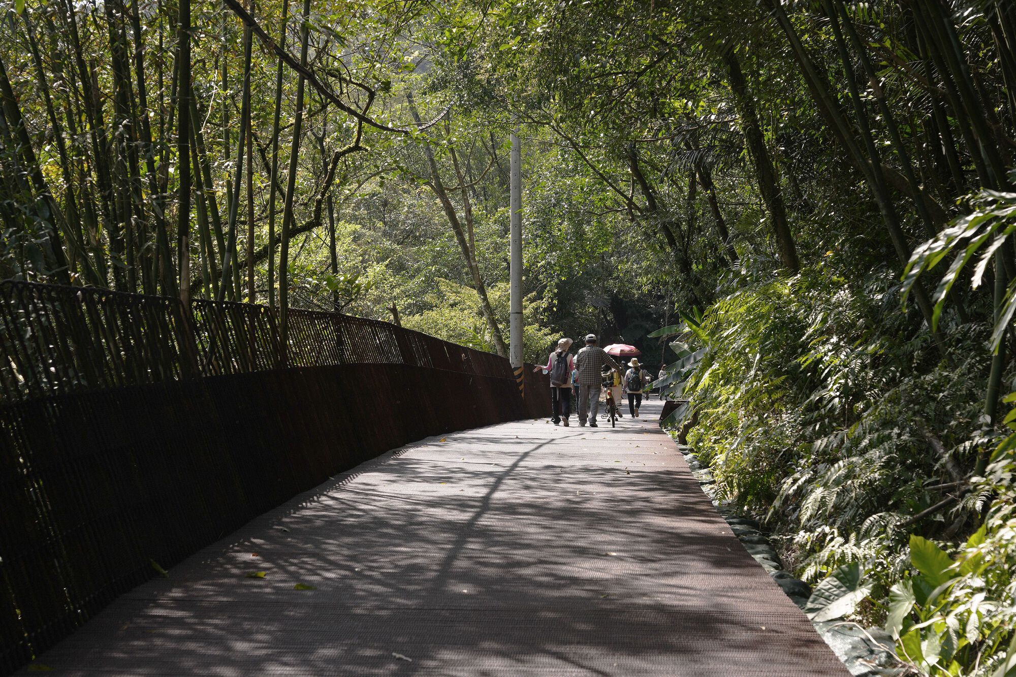 The Dark Line Path | mICHELE & mIQUEL + dA VISION DESIGN