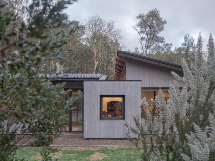 The Arboreto House | Camila Pineda Arquitectura