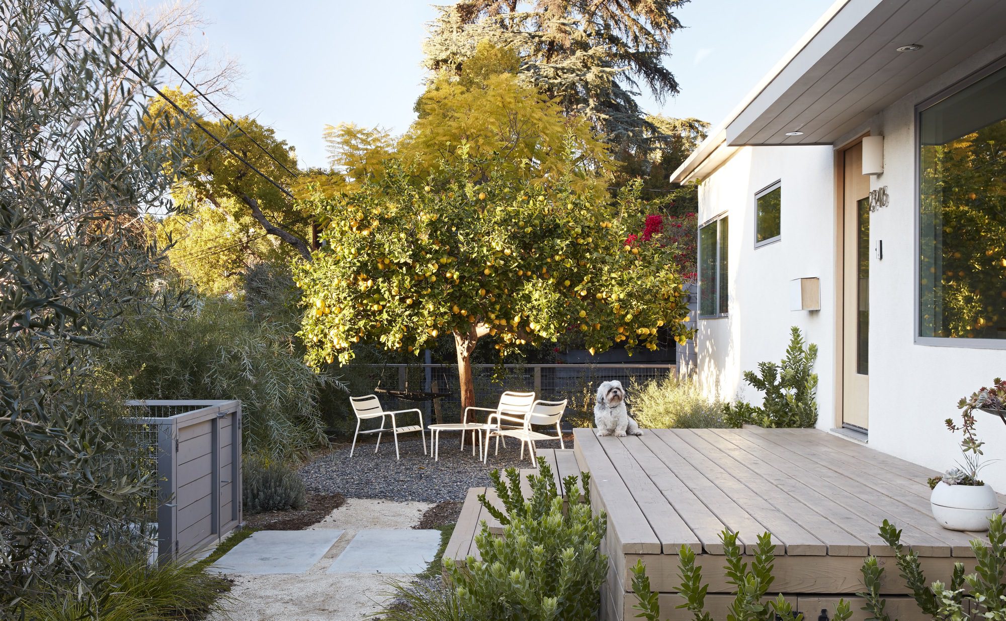 Silverlake Terrace Bungalow Renovation and Extension