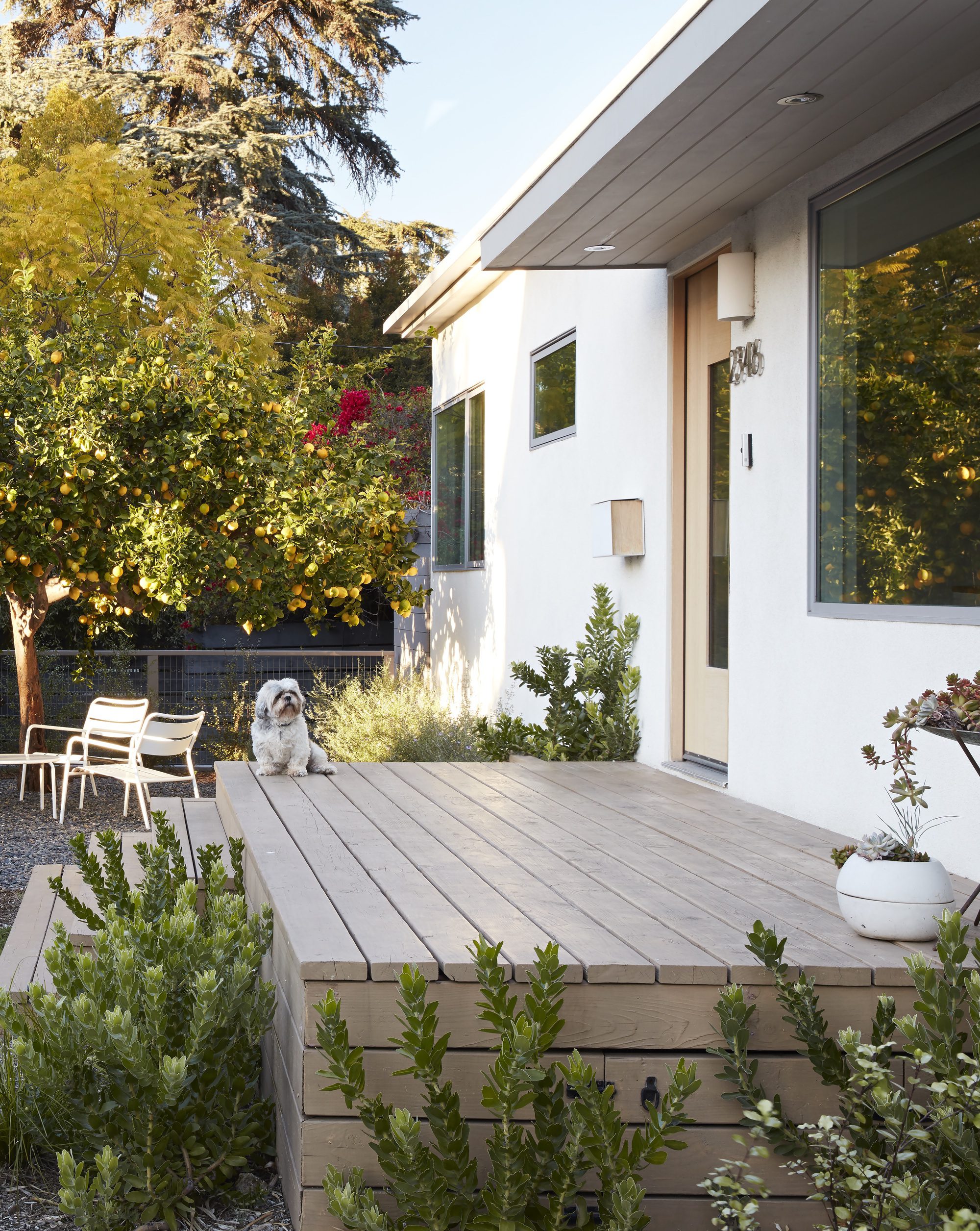 Silverlake Terrace Bungalow Renovation and Extension