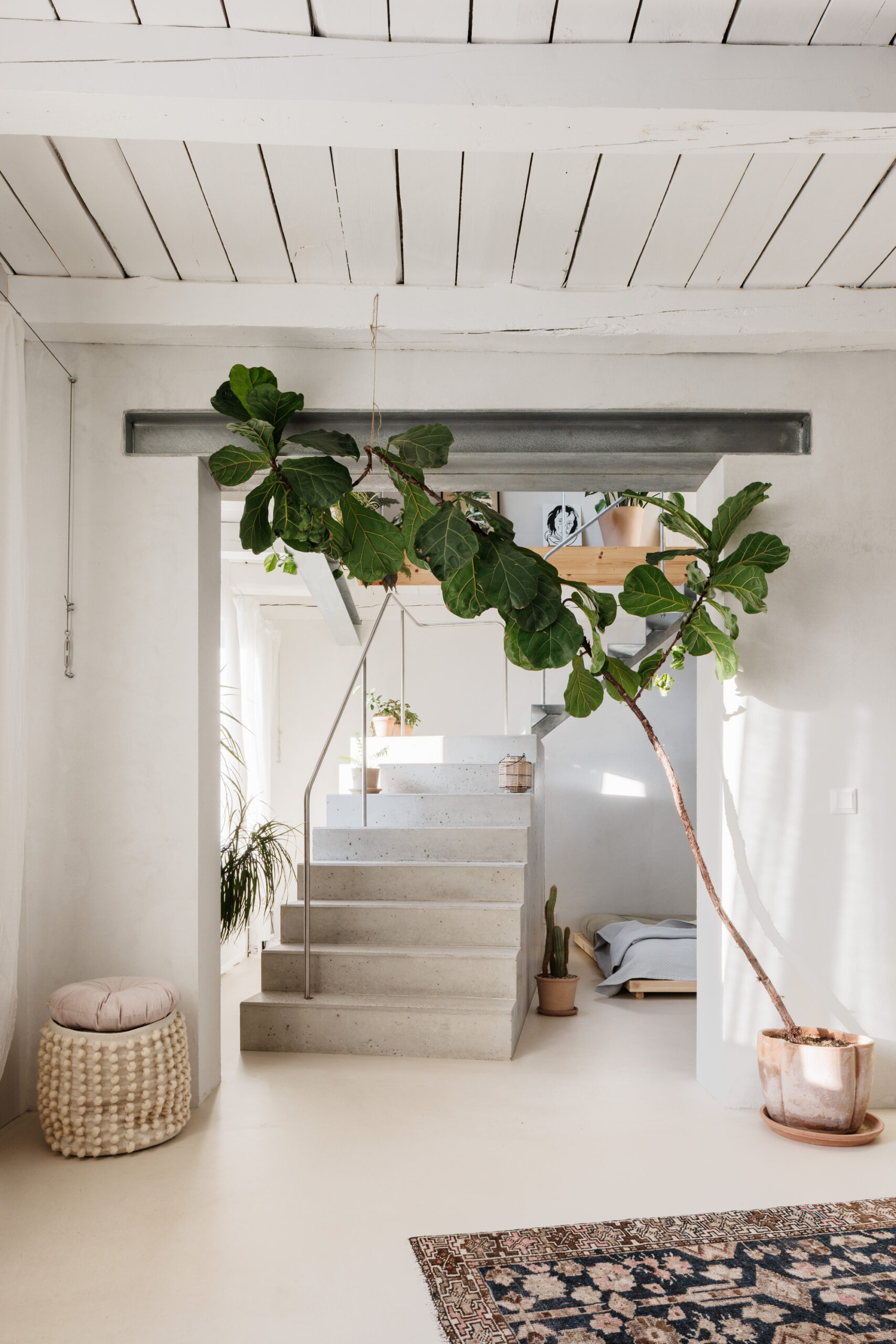 Reconstruction of a Reconstructed House