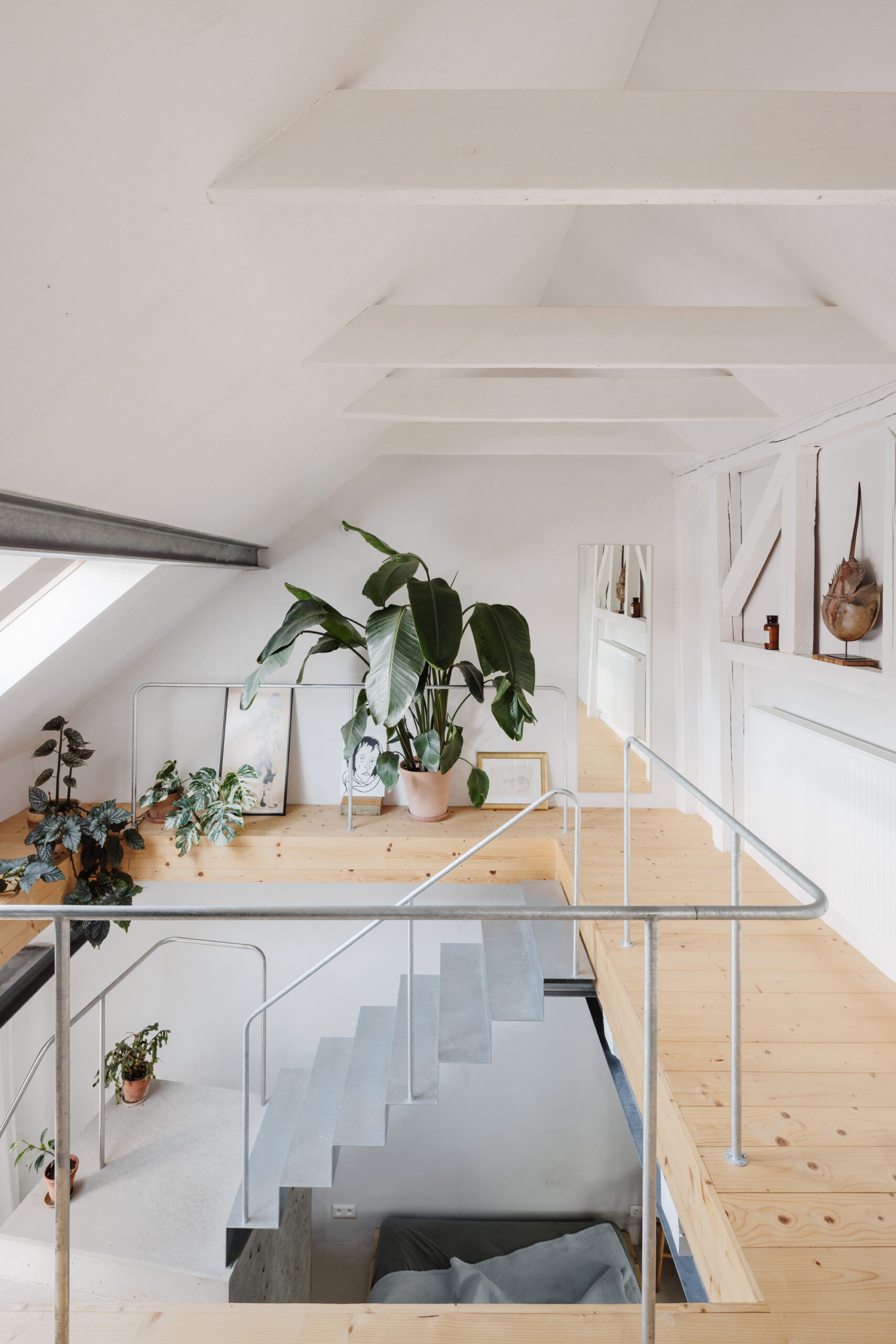 Reconstruction of a Reconstructed House